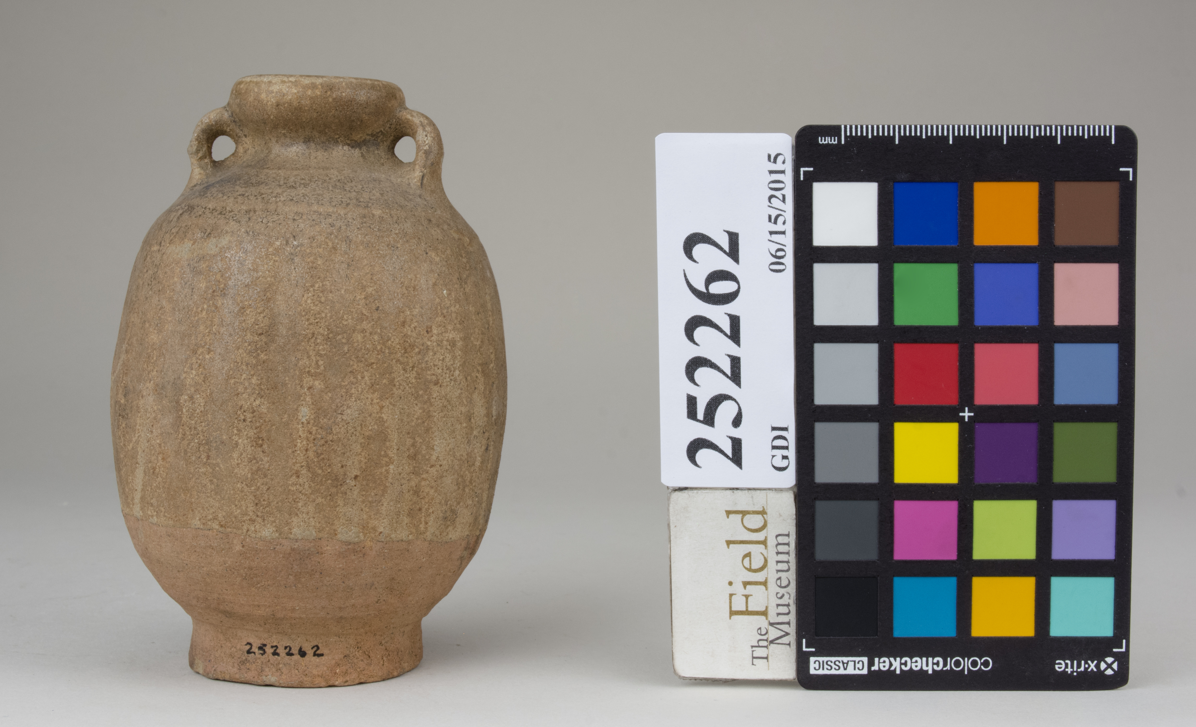 Front (c) Field Museum of Natural History - CC BY-NC 4.0