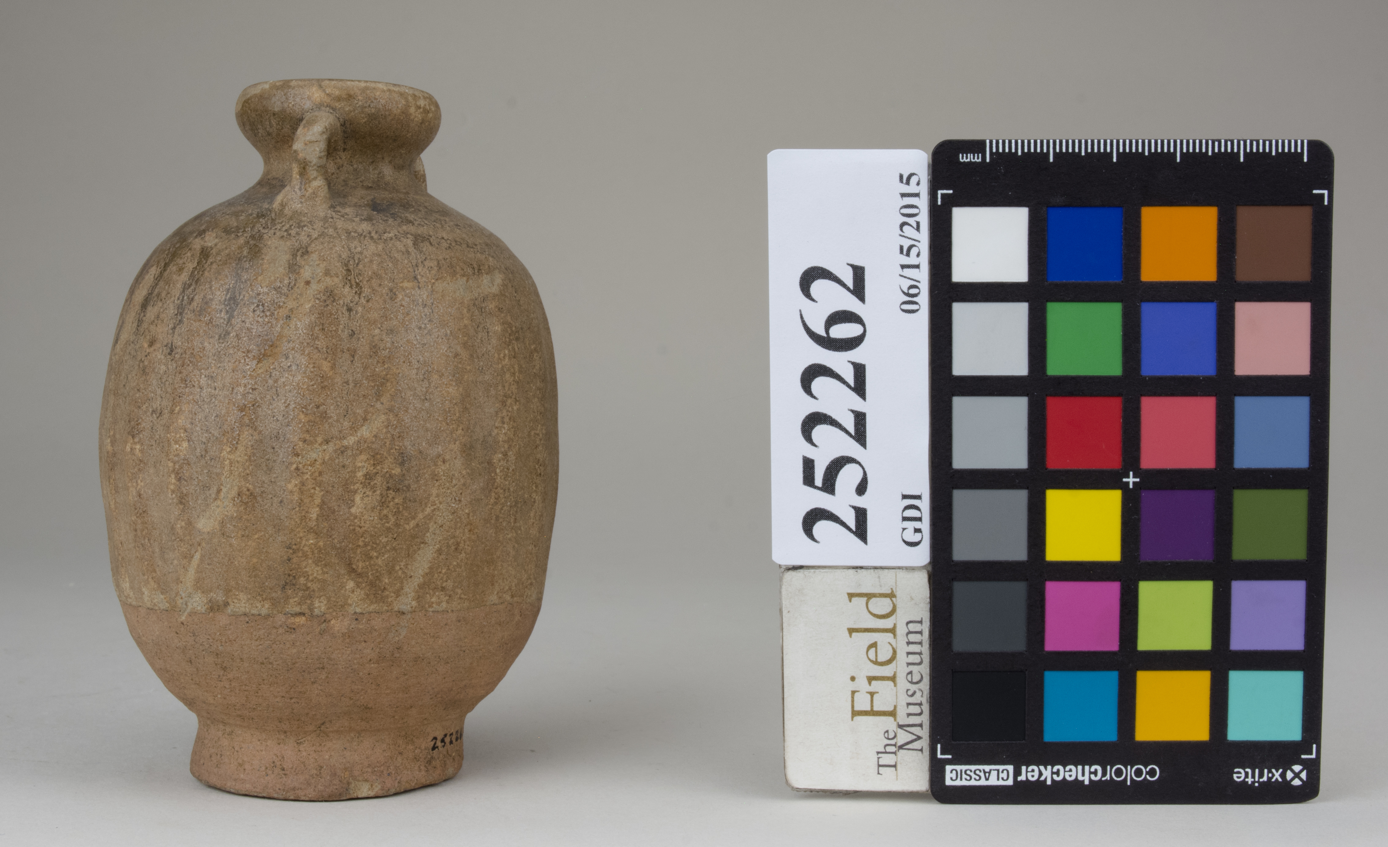 Right (c) Field Museum of Natural History - CC BY-NC 4.0