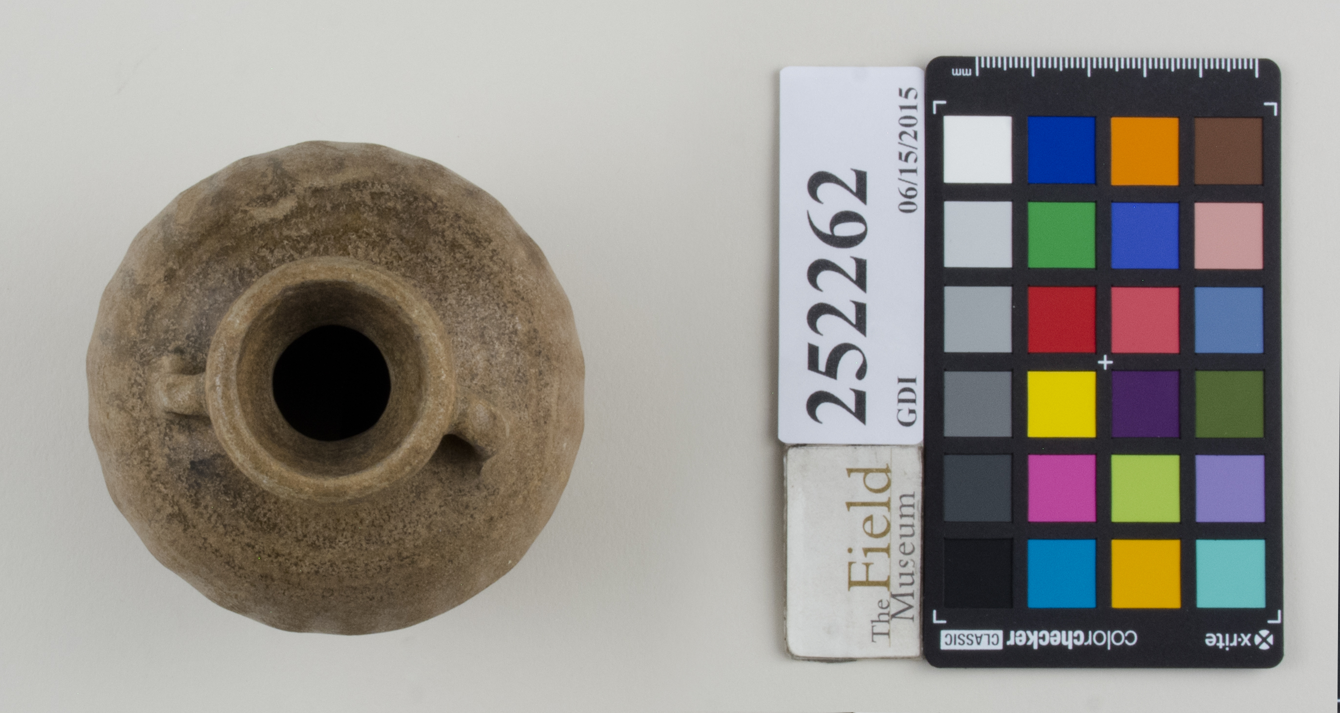 Top (c) Field Museum of Natural History - CC BY-NC 4.0