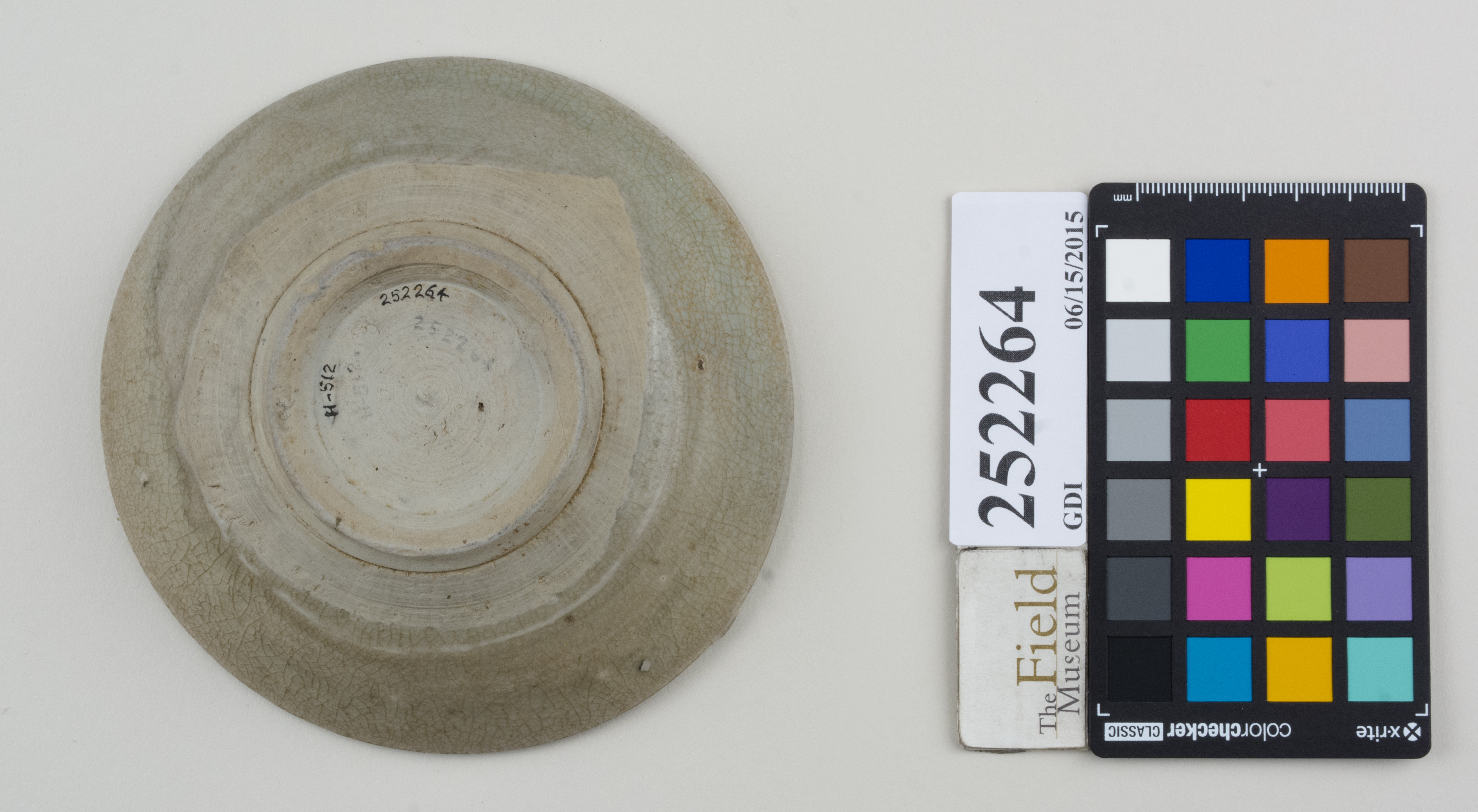 Bottom (c) Field Museum of Natural History - CC BY-NC 4.0