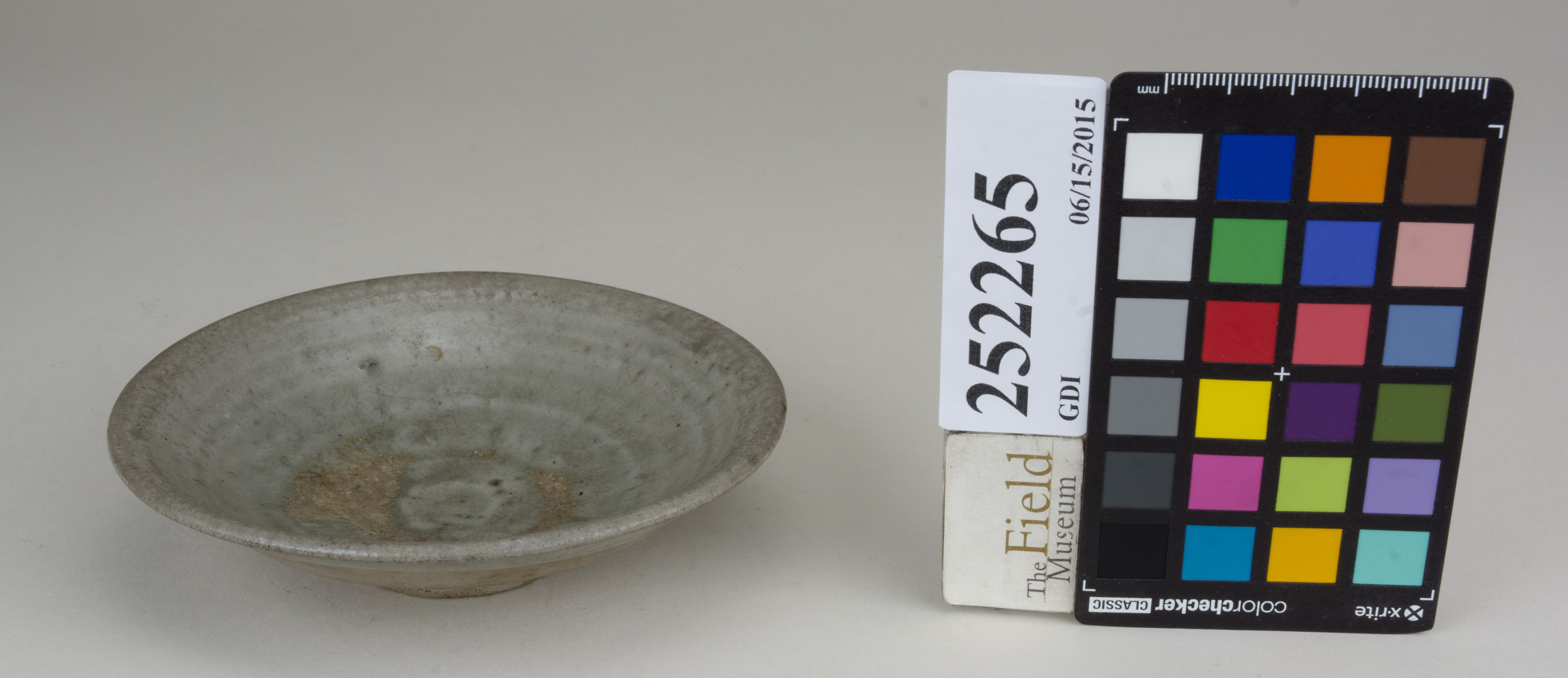 FrontAngle (c) Field Museum of Natural History - CC BY-NC 4.0