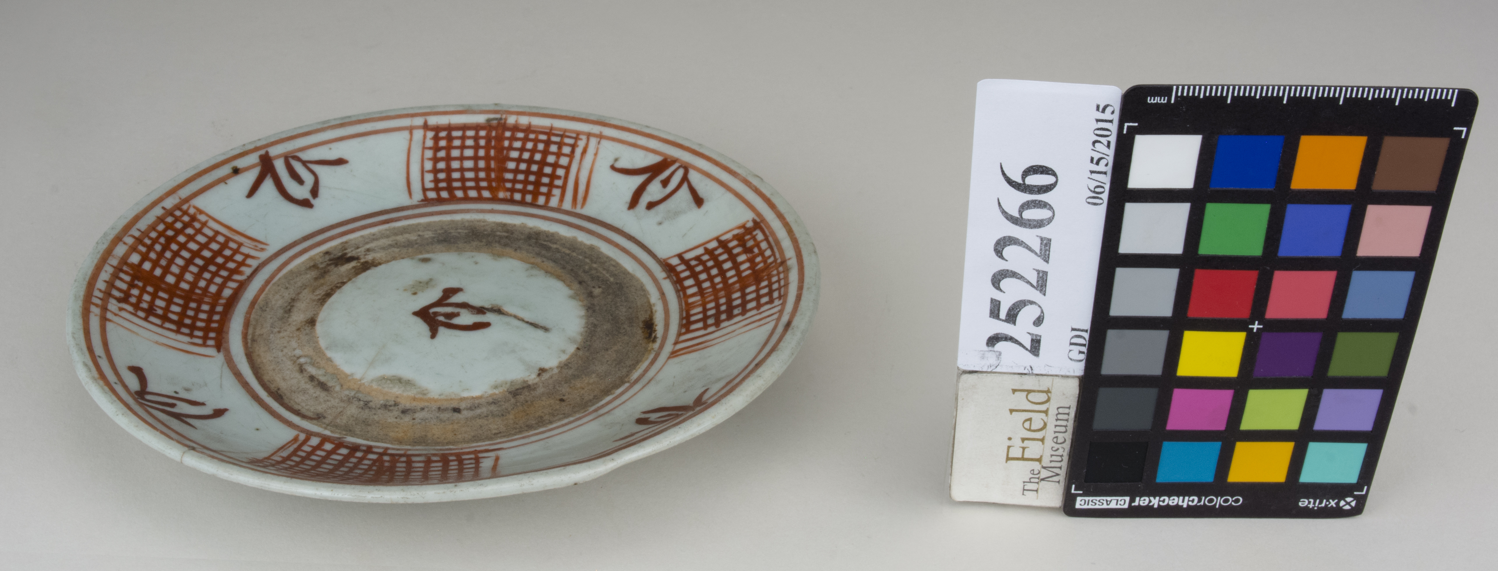 FrontAngle (c) Field Museum of Natural History - CC BY-NC 4.0