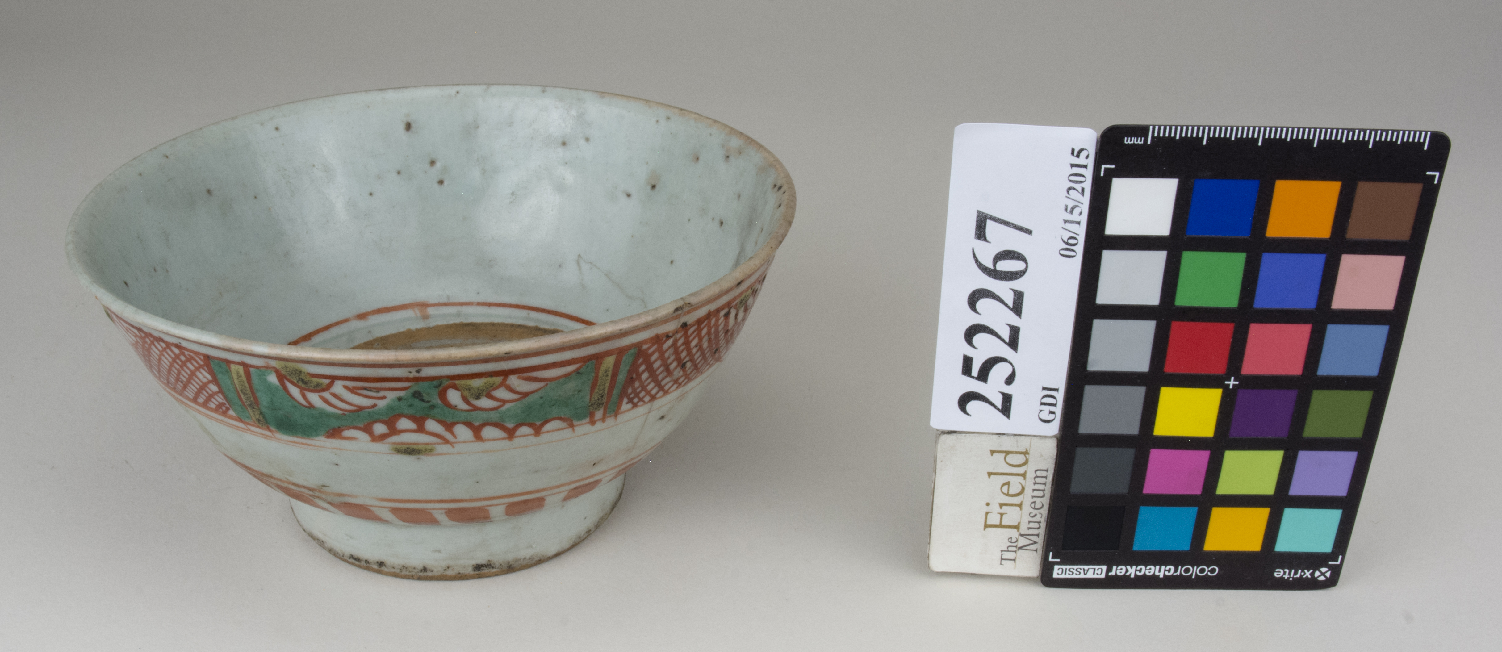 FrontAngle (c) Field Museum of Natural History - CC BY-NC 4.0