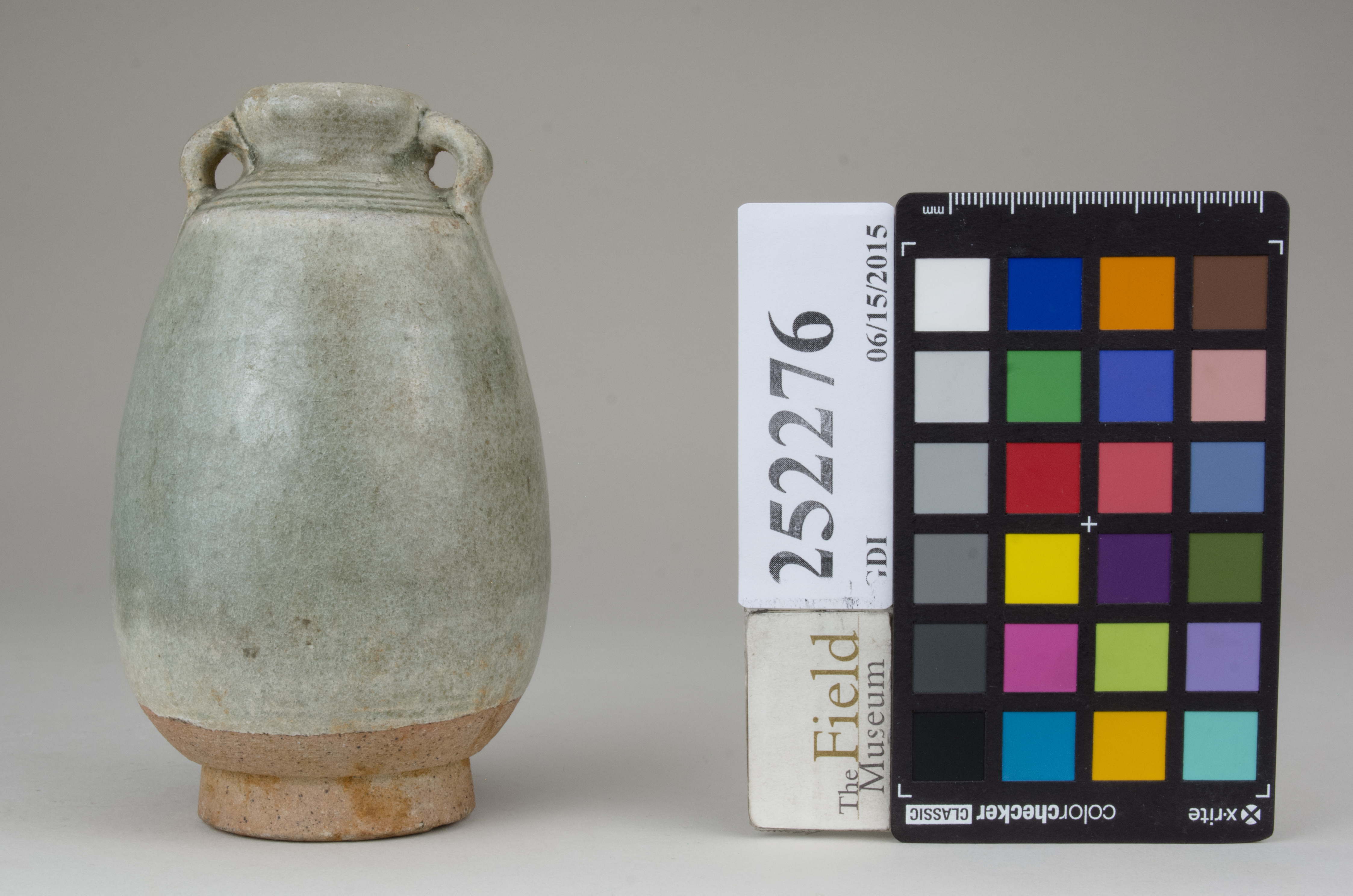 reference image, back (c) Field Museum of Natural History - CC BY-NC 4.0