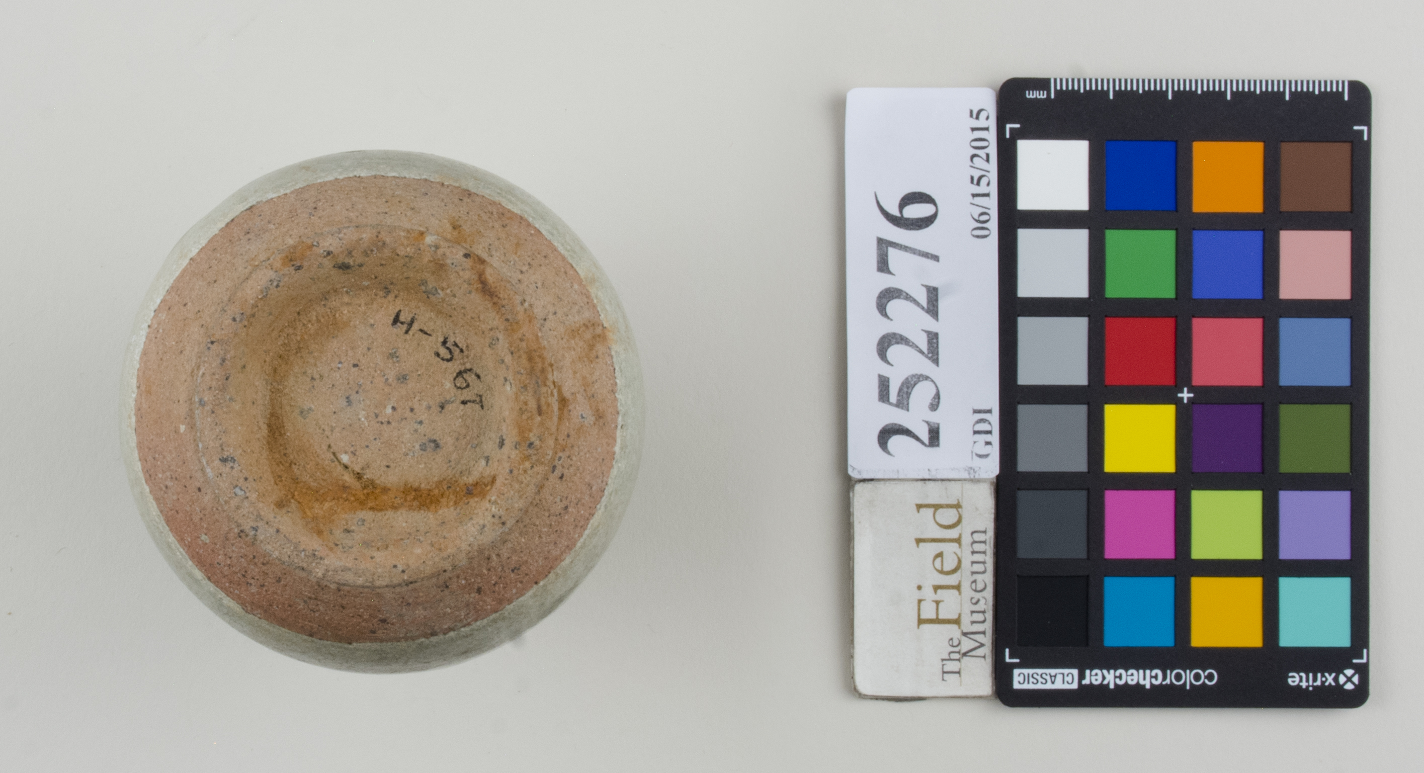 Bottom (c) Field Museum of Natural History - CC BY-NC 4.0