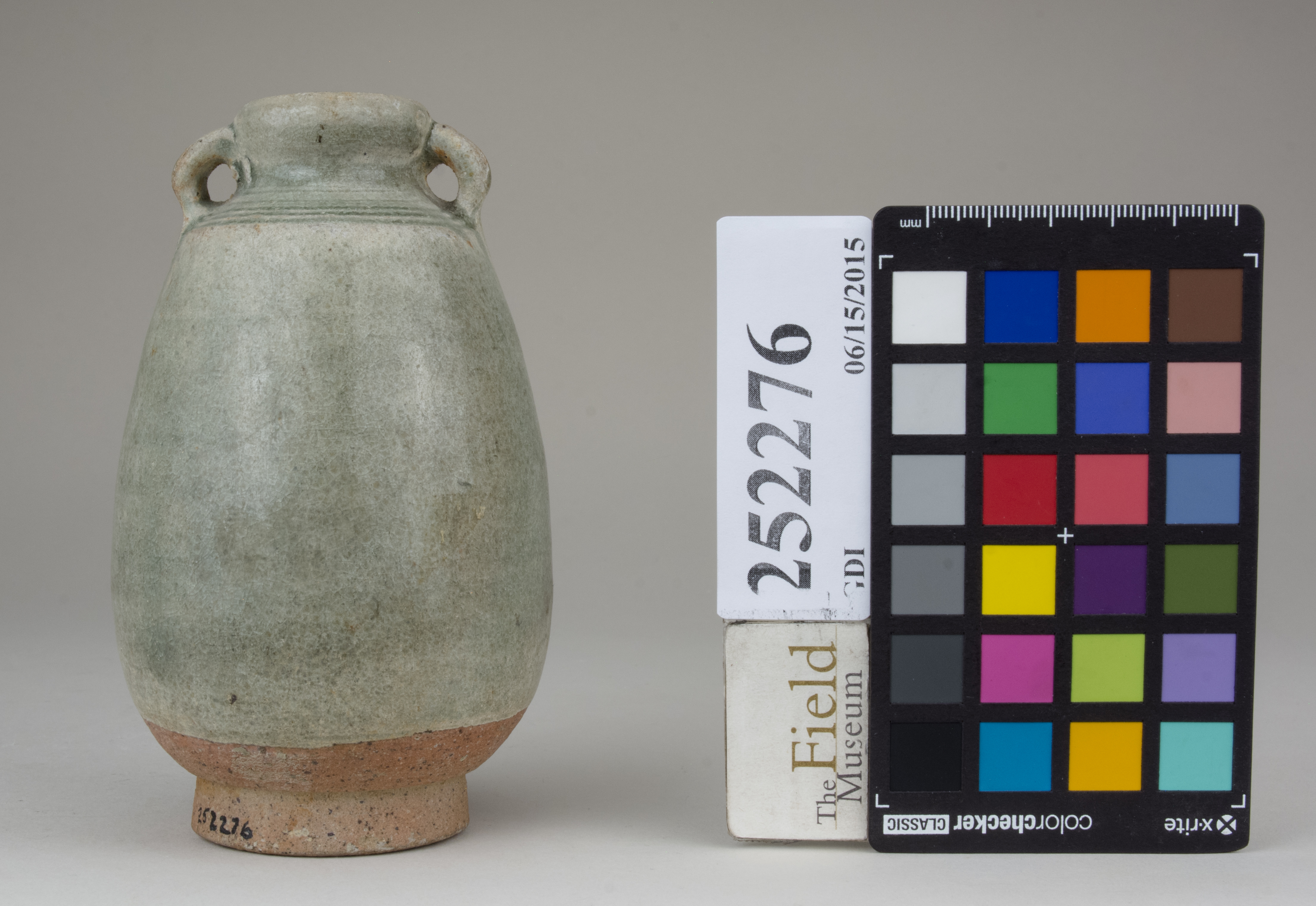 Front (c) Field Museum of Natural History - CC BY-NC 4.0