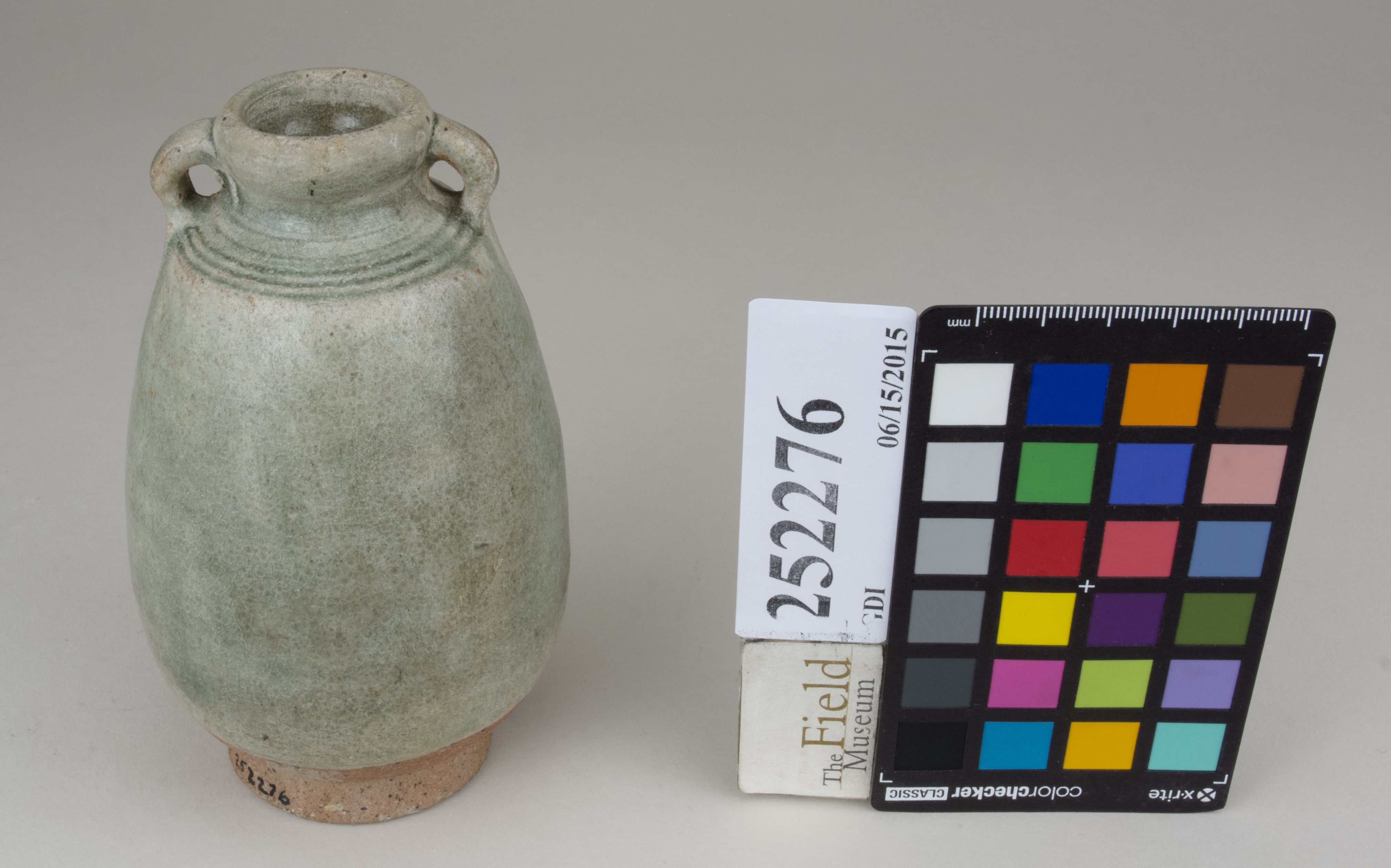 FrontAngle (c) Field Museum of Natural History - CC BY-NC 4.0