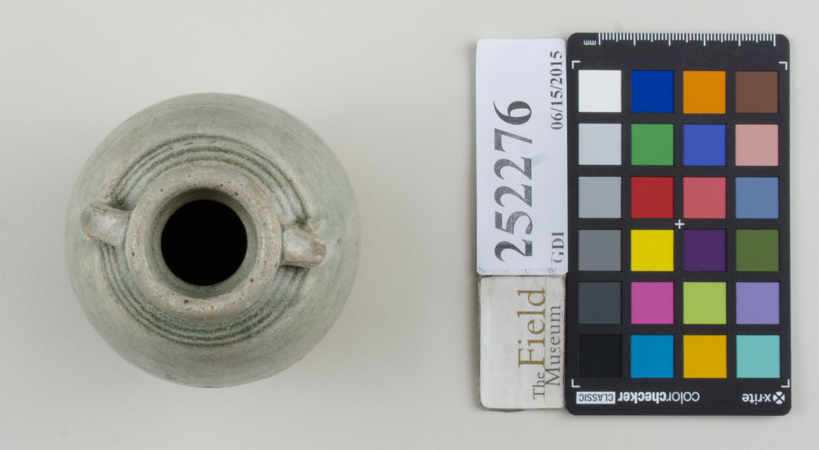 Top (c) Field Museum of Natural History - CC BY-NC 4.0