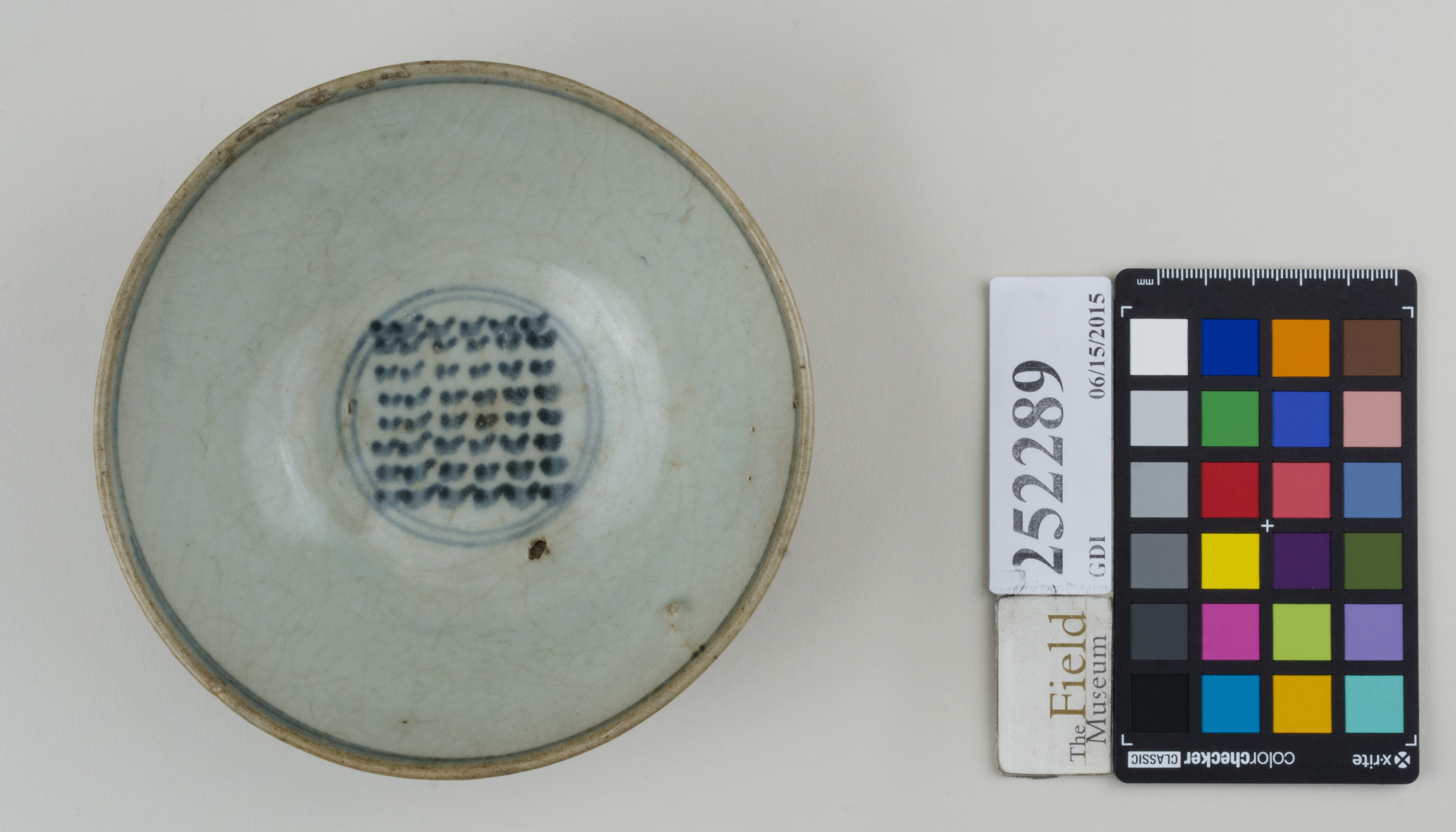 Top (c) Field Museum of Natural History - CC BY-NC 4.0