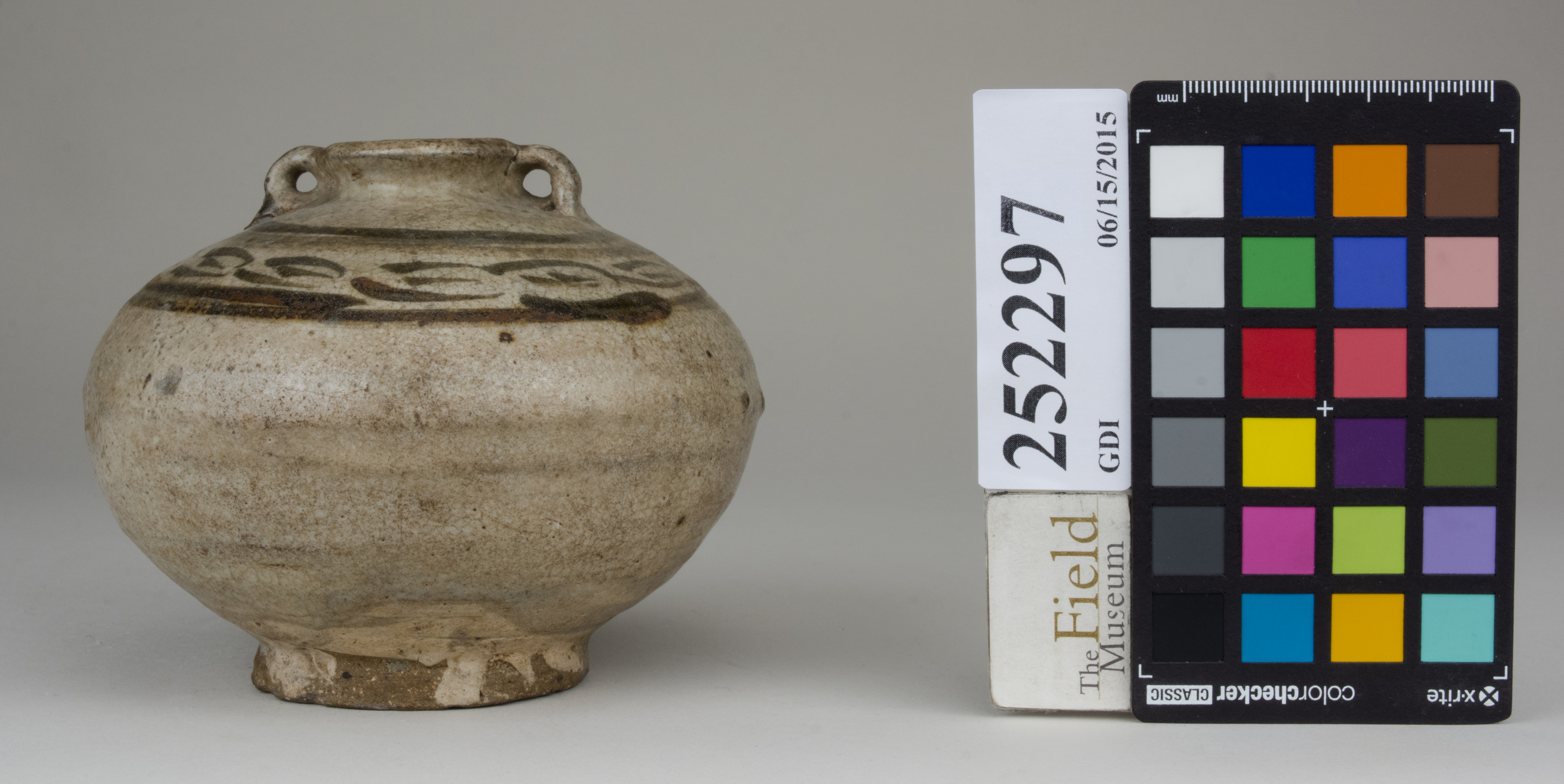 reference image, back (c) Field Museum of Natural History - CC BY-NC 4.0