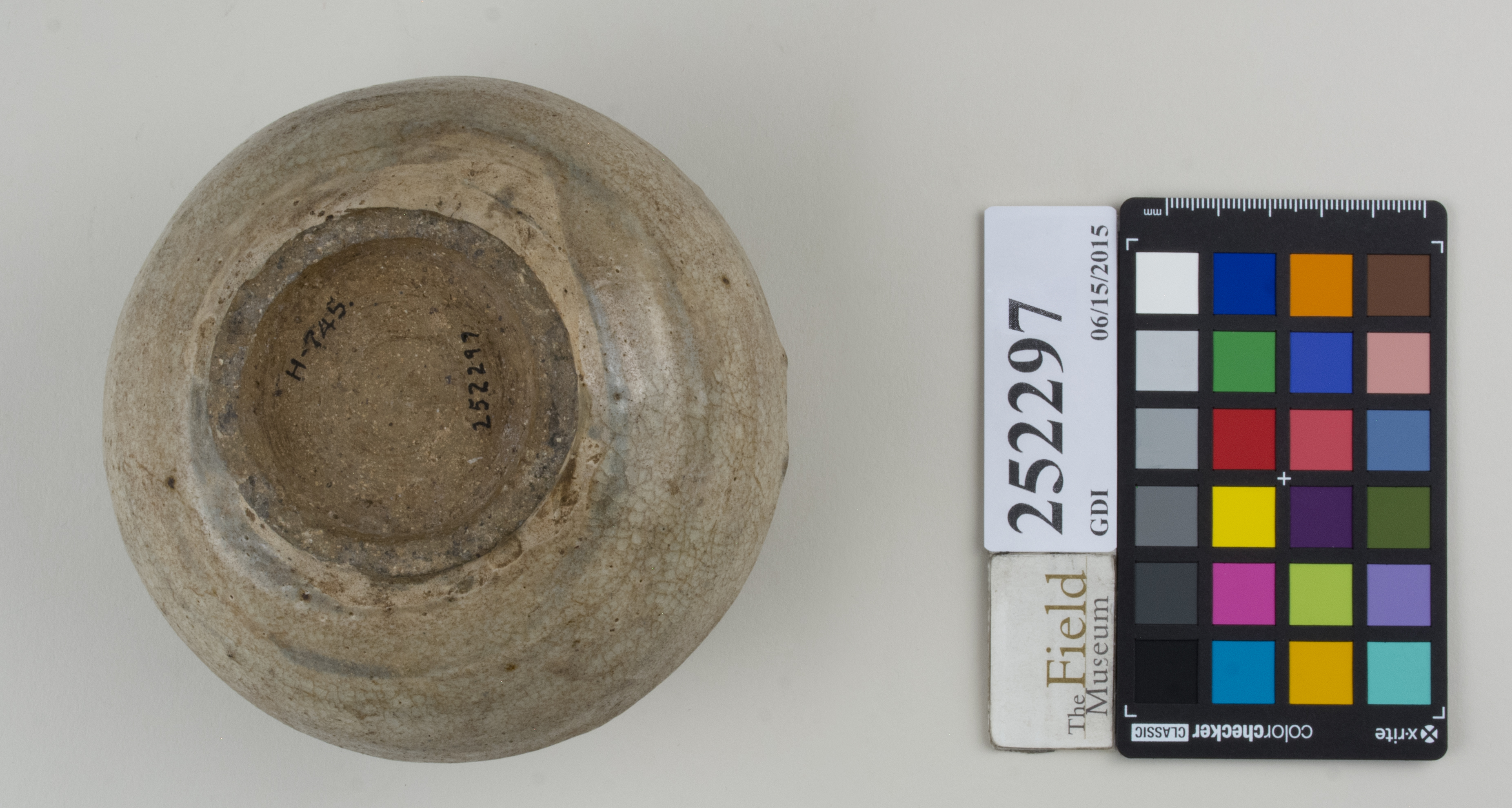 Bottom (c) Field Museum of Natural History - CC BY-NC 4.0