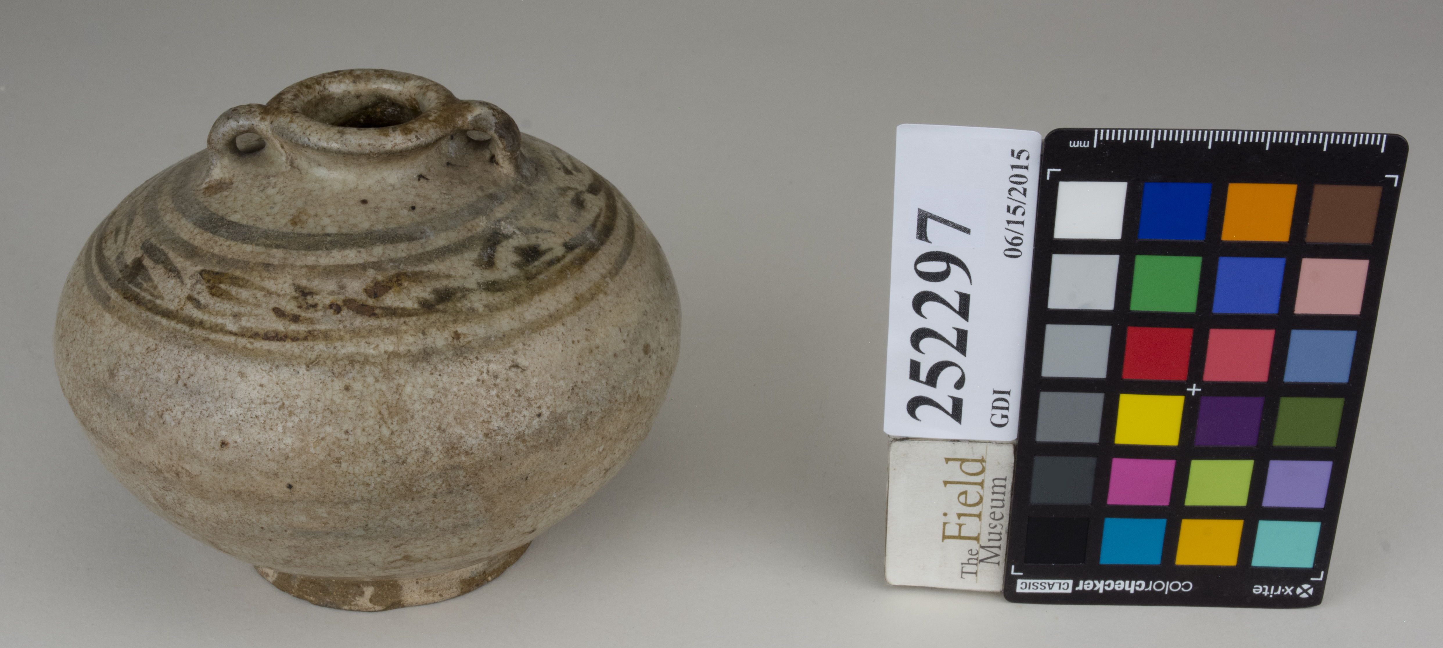 FrontAngle (c) Field Museum of Natural History - CC BY-NC 4.0