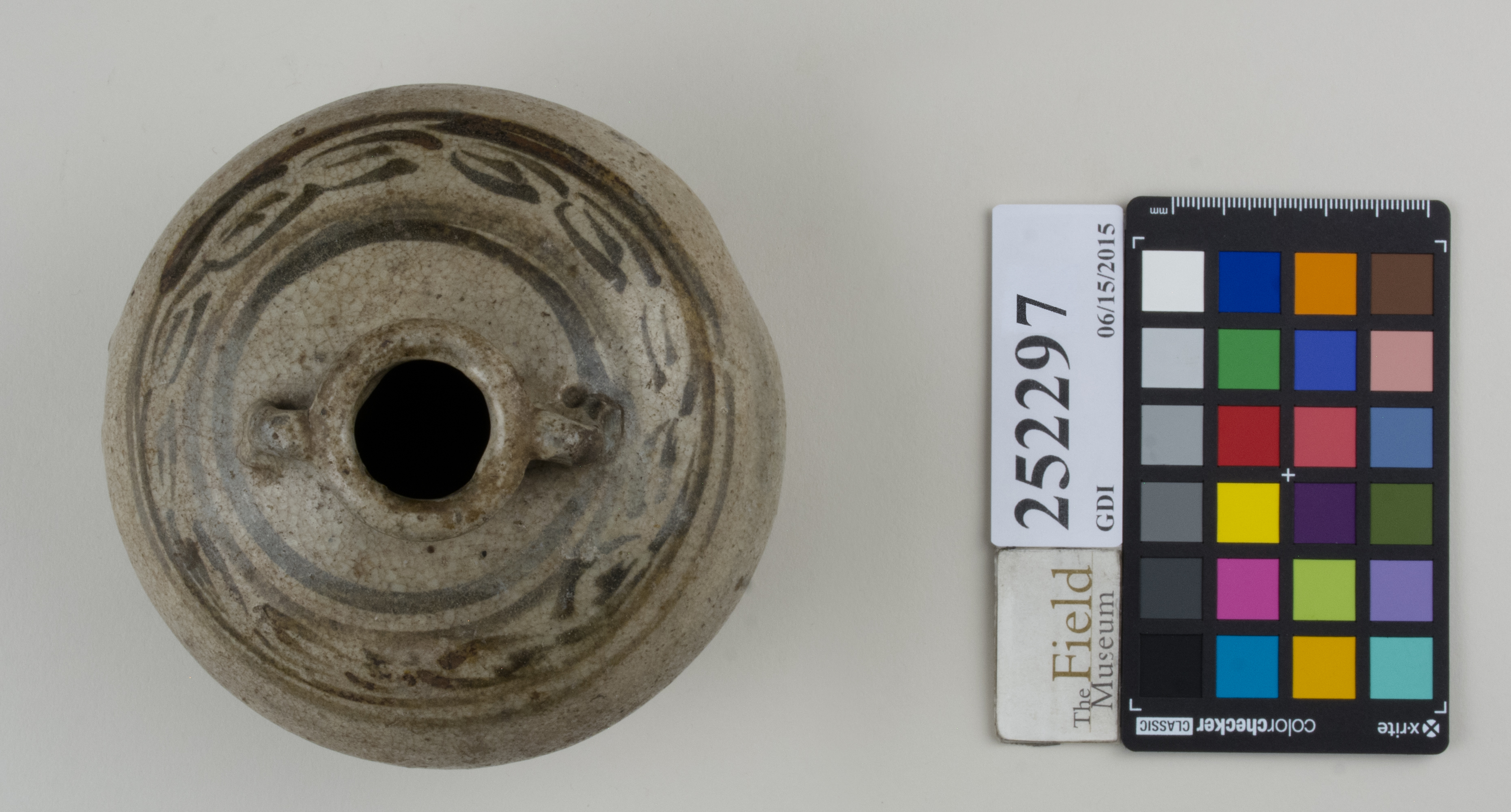 Top (c) Field Museum of Natural History - CC BY-NC 4.0