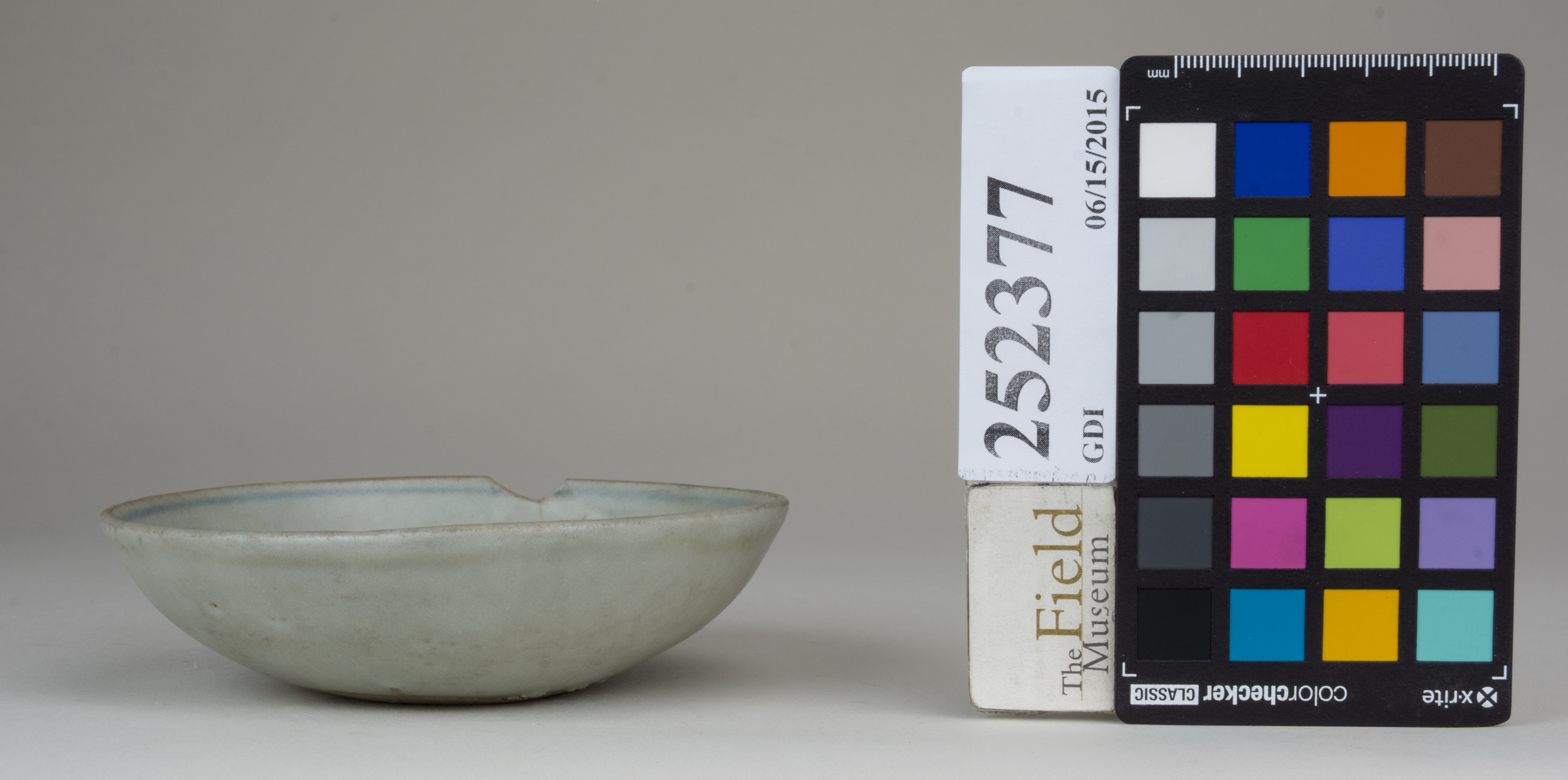 reference image, back (c) Field Museum of Natural History - CC BY-NC 4.0