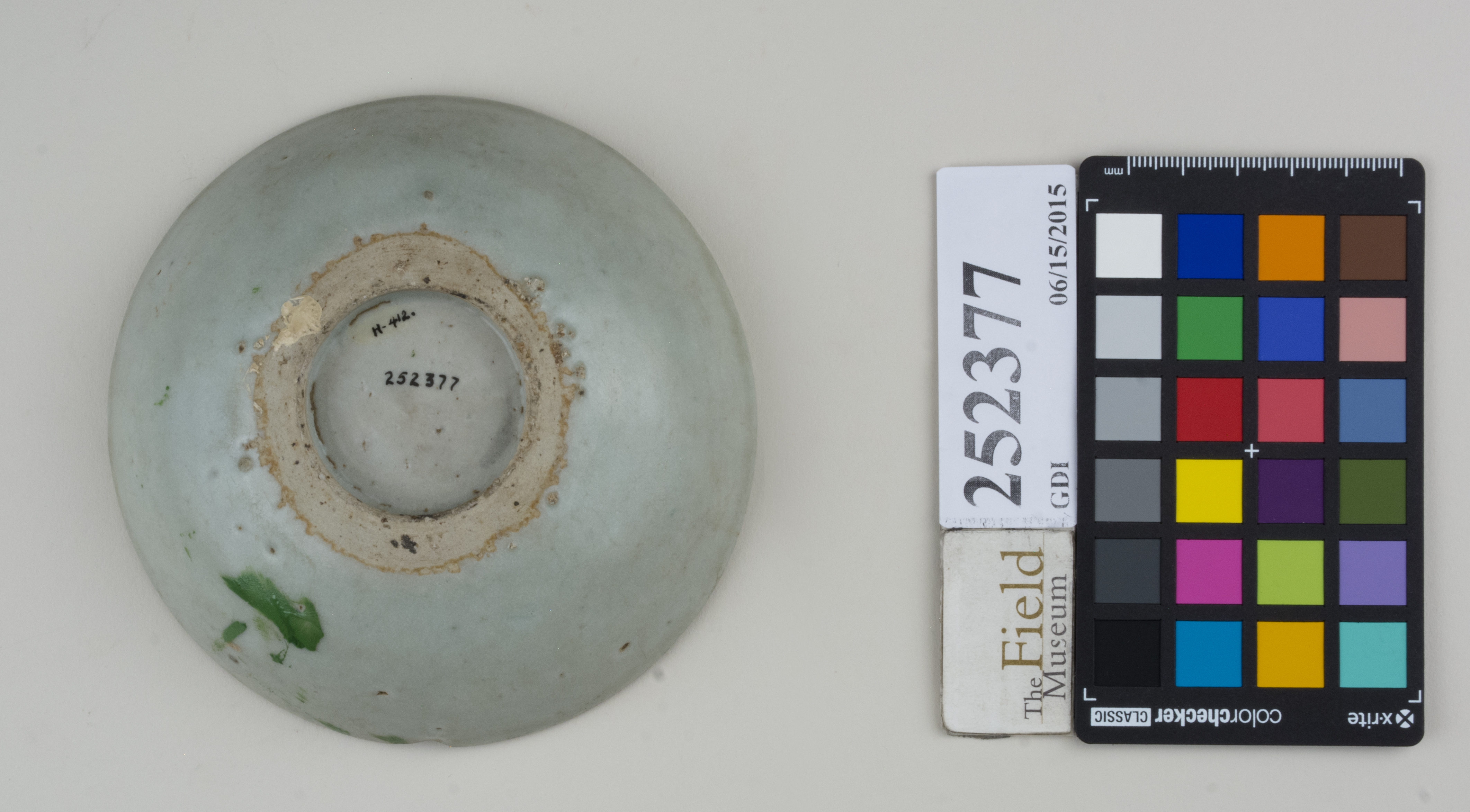 Bottom (c) Field Museum of Natural History - CC BY-NC 4.0