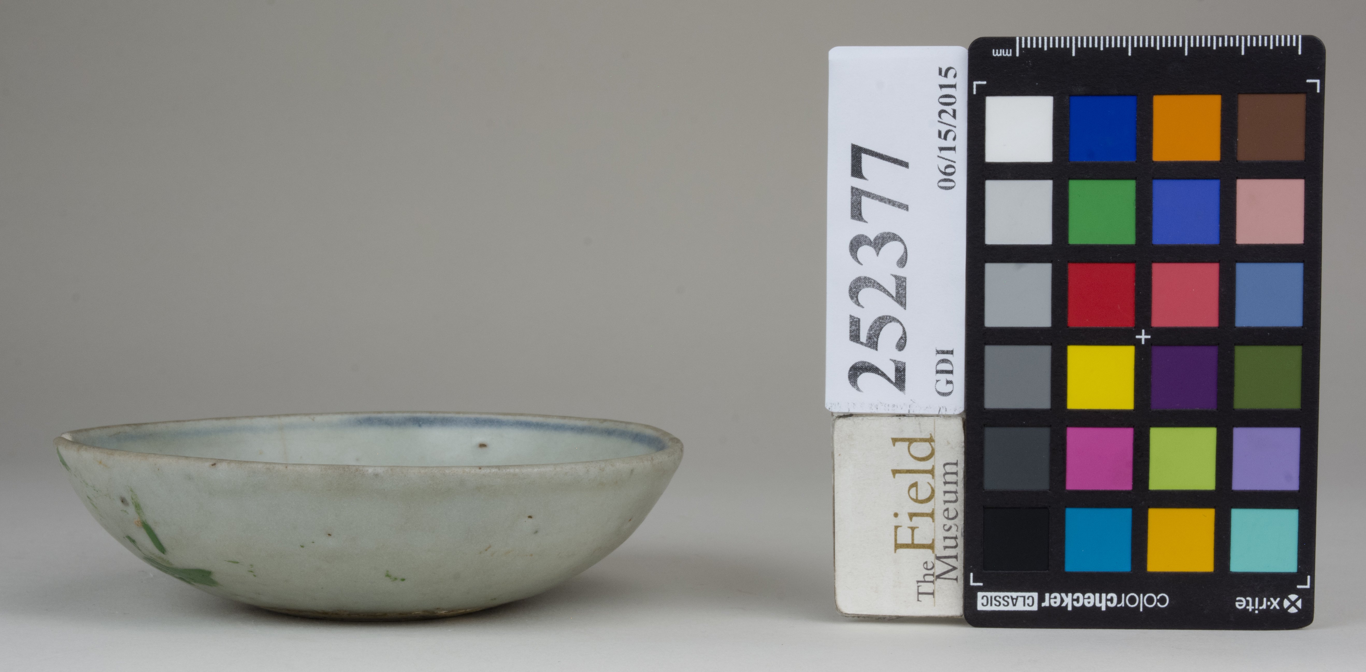 Front (c) Field Museum of Natural History - CC BY-NC 4.0