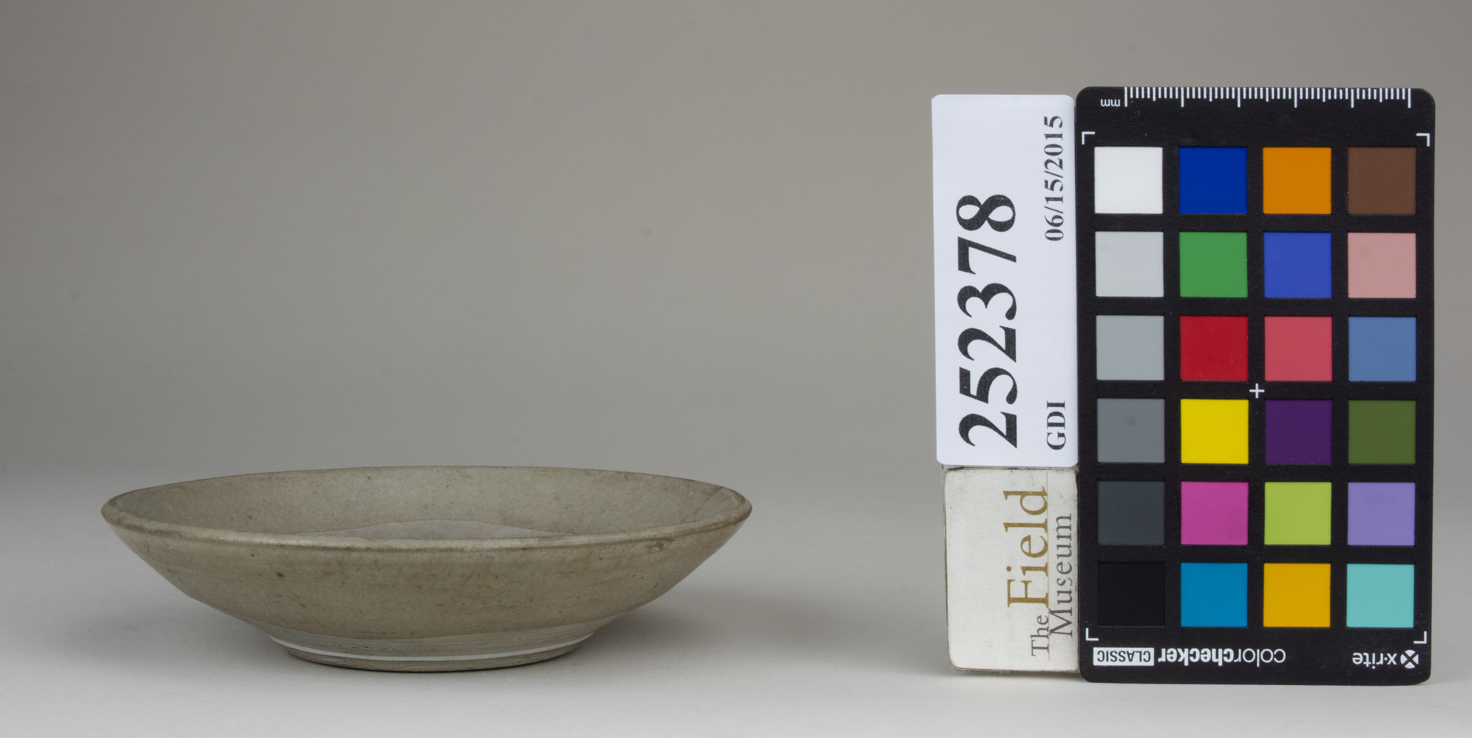 reference image, back (c) Field Museum of Natural History - CC BY-NC 4.0