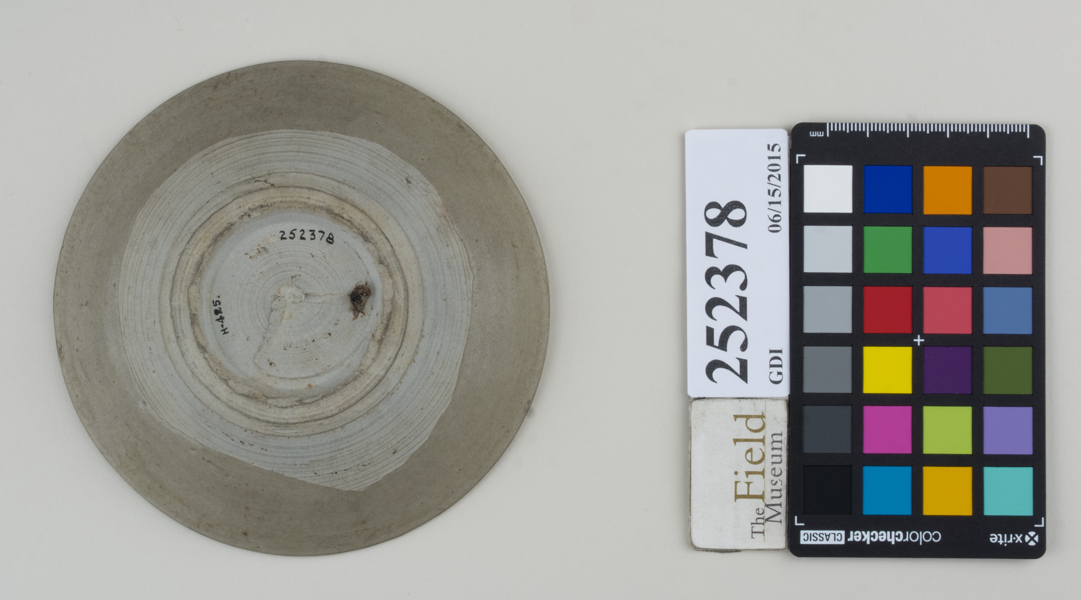 Bottom (c) Field Museum of Natural History - CC BY-NC 4.0