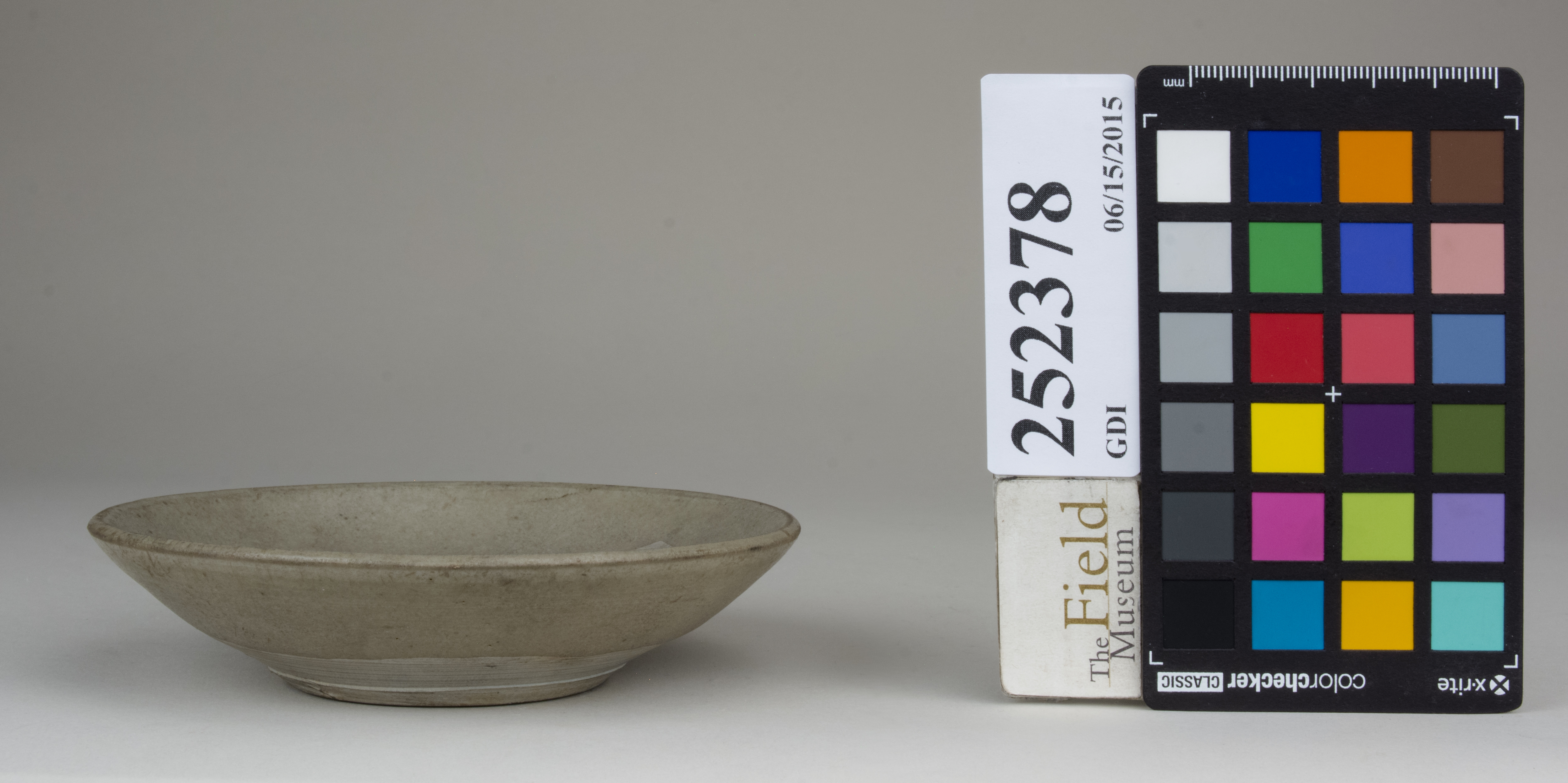 Front (c) Field Museum of Natural History - CC BY-NC 4.0