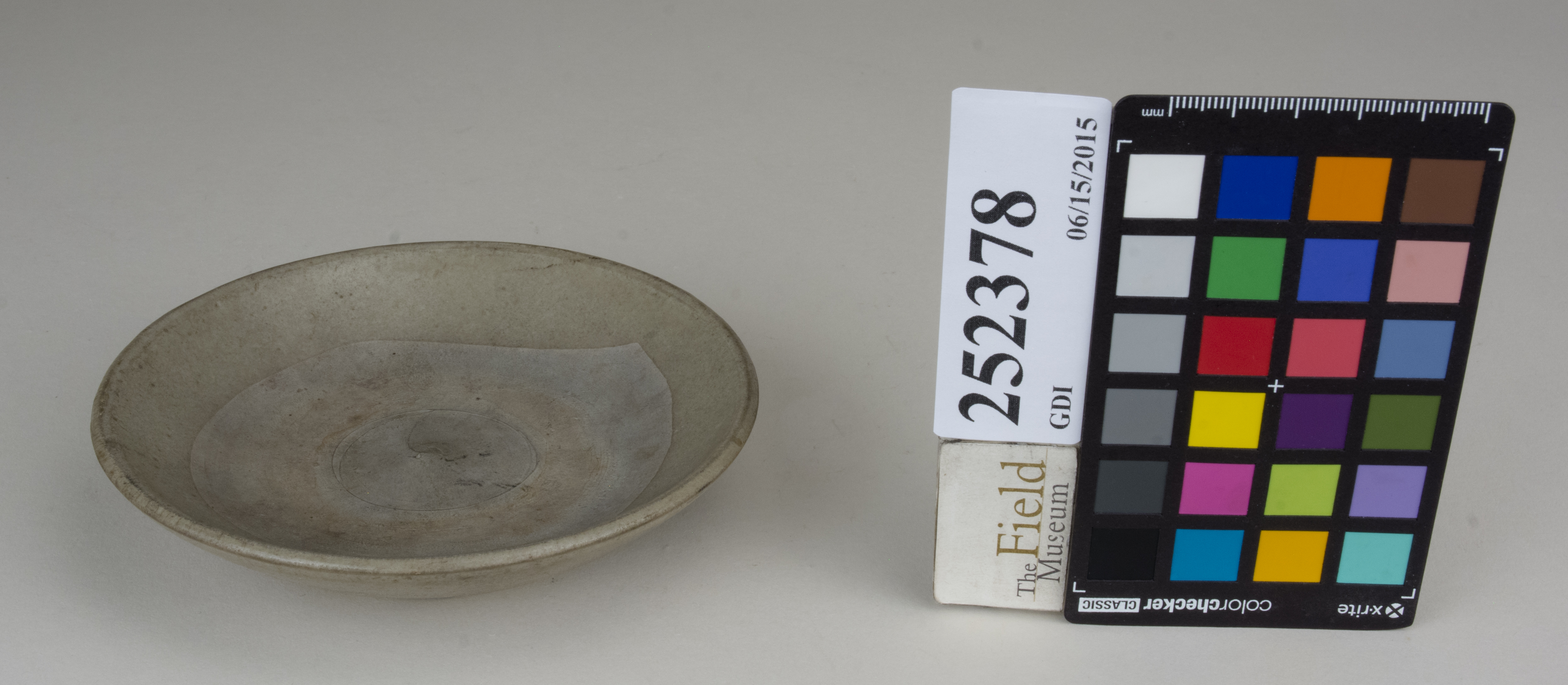 FrontAngle (c) Field Museum of Natural History - CC BY-NC 4.0