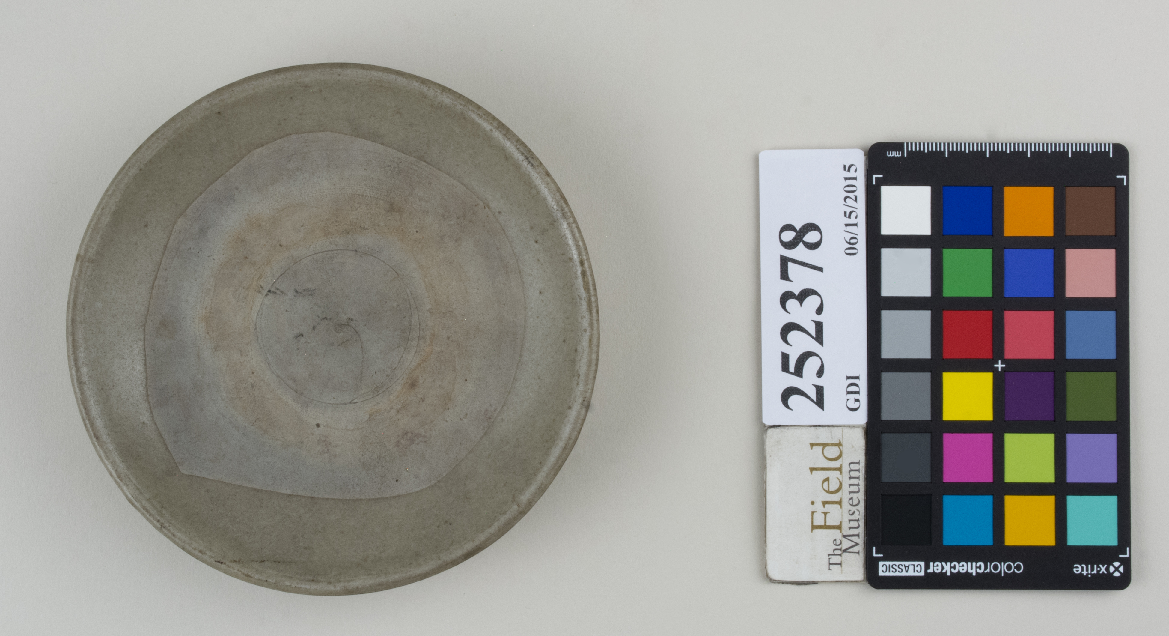 Top (c) Field Museum of Natural History - CC BY-NC 4.0