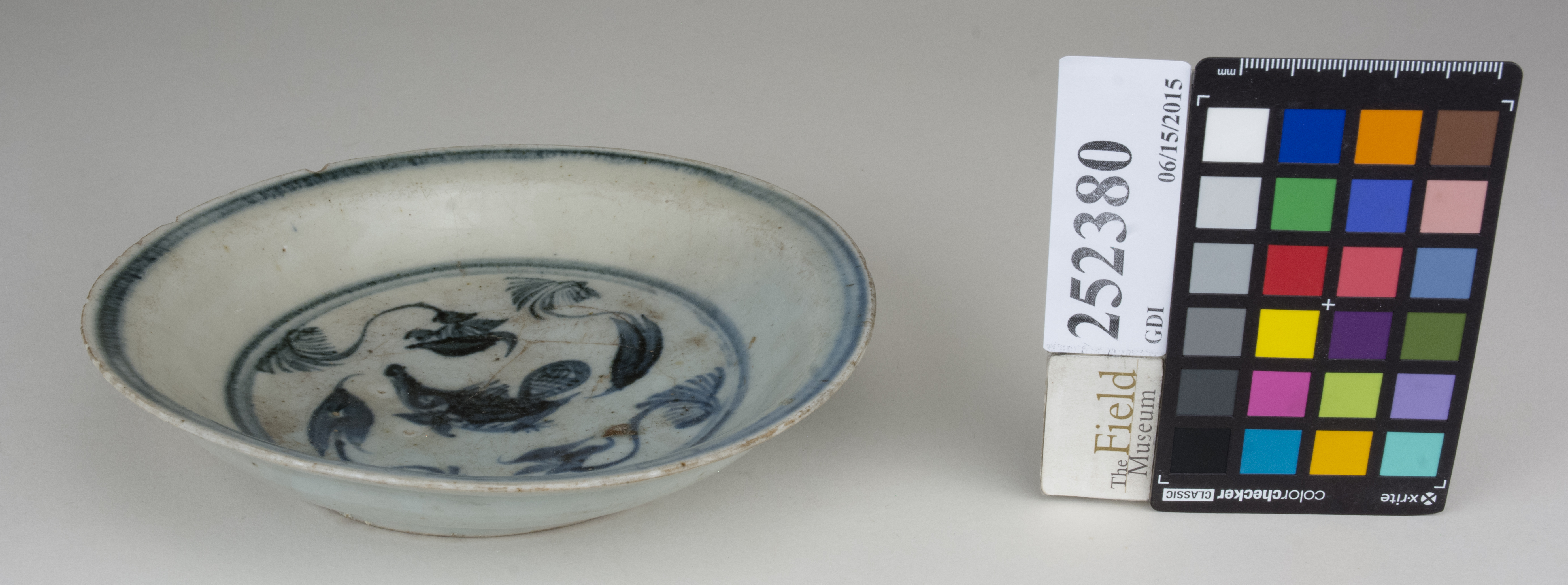 FrontAngle (c) Field Museum of Natural History - CC BY-NC 4.0