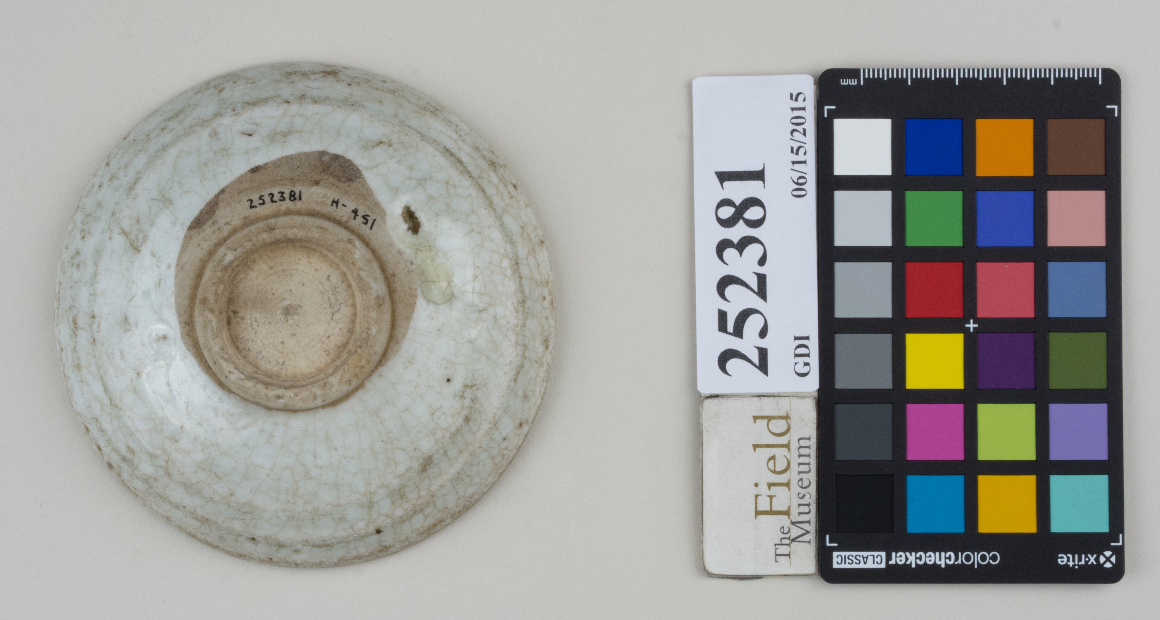 Bottom (c) Field Museum of Natural History - CC BY-NC 4.0