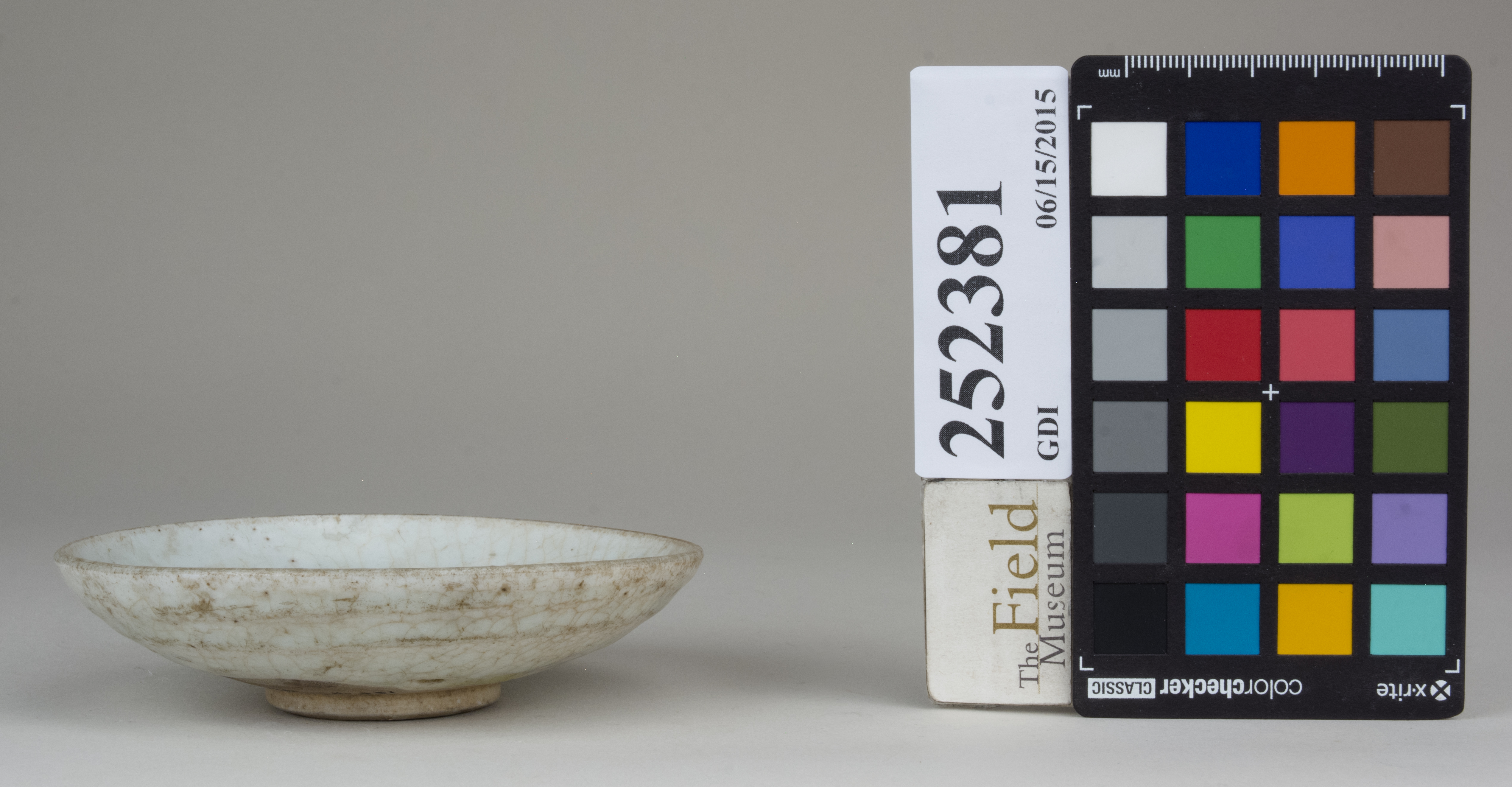 Front (c) Field Museum of Natural History - CC BY-NC 4.0