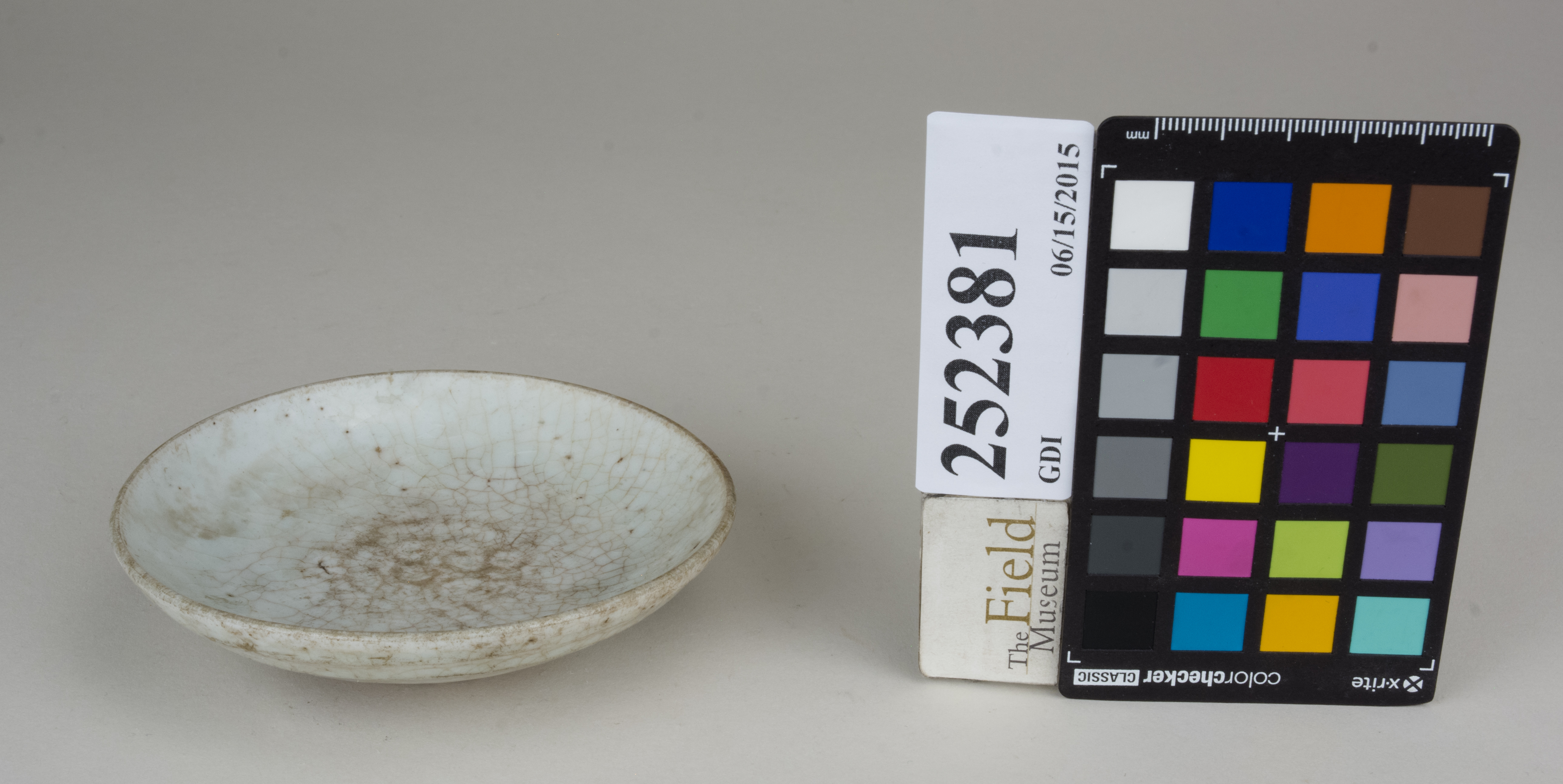 FrontAngle (c) Field Museum of Natural History - CC BY-NC 4.0