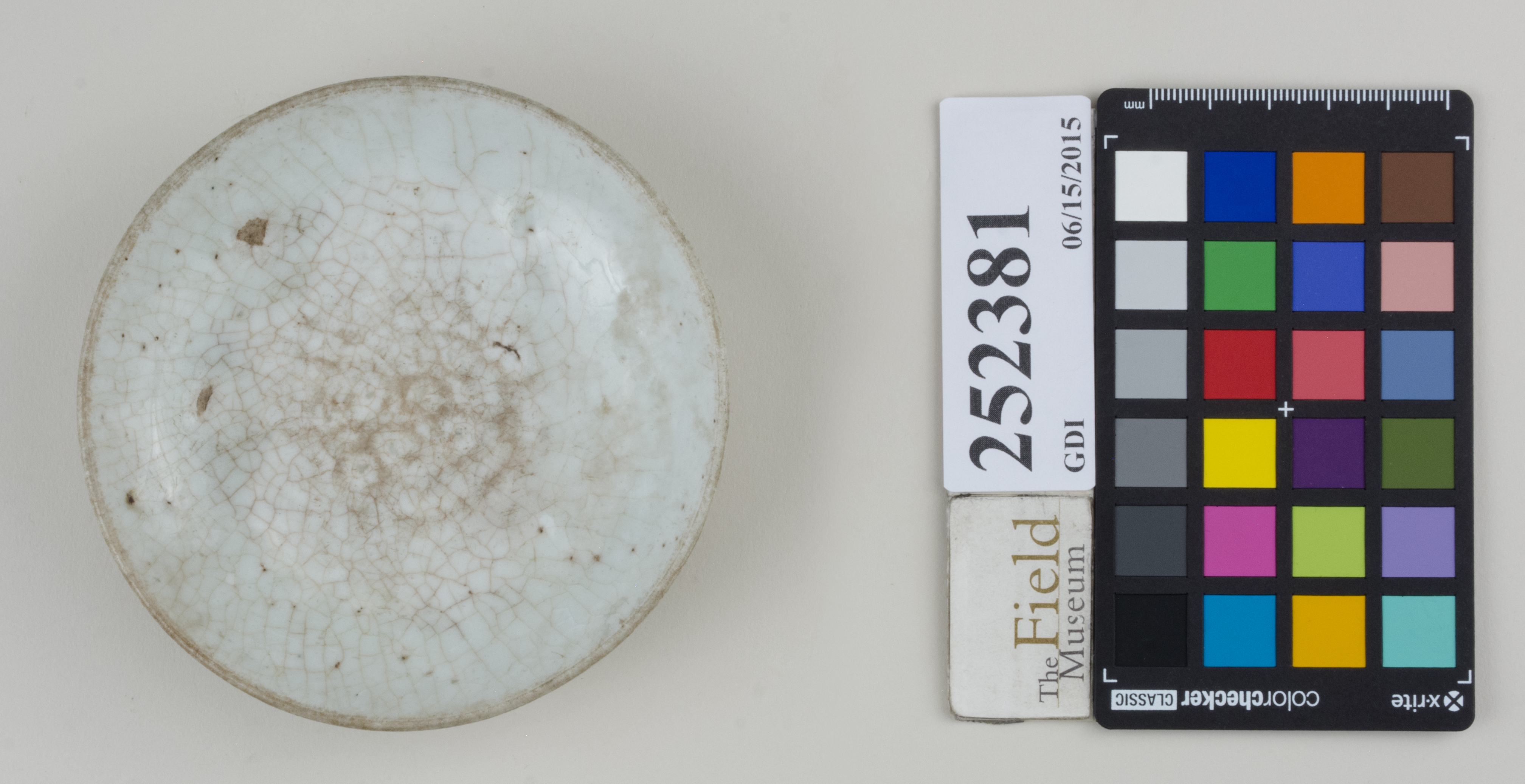 Top (c) Field Museum of Natural History - CC BY-NC 4.0