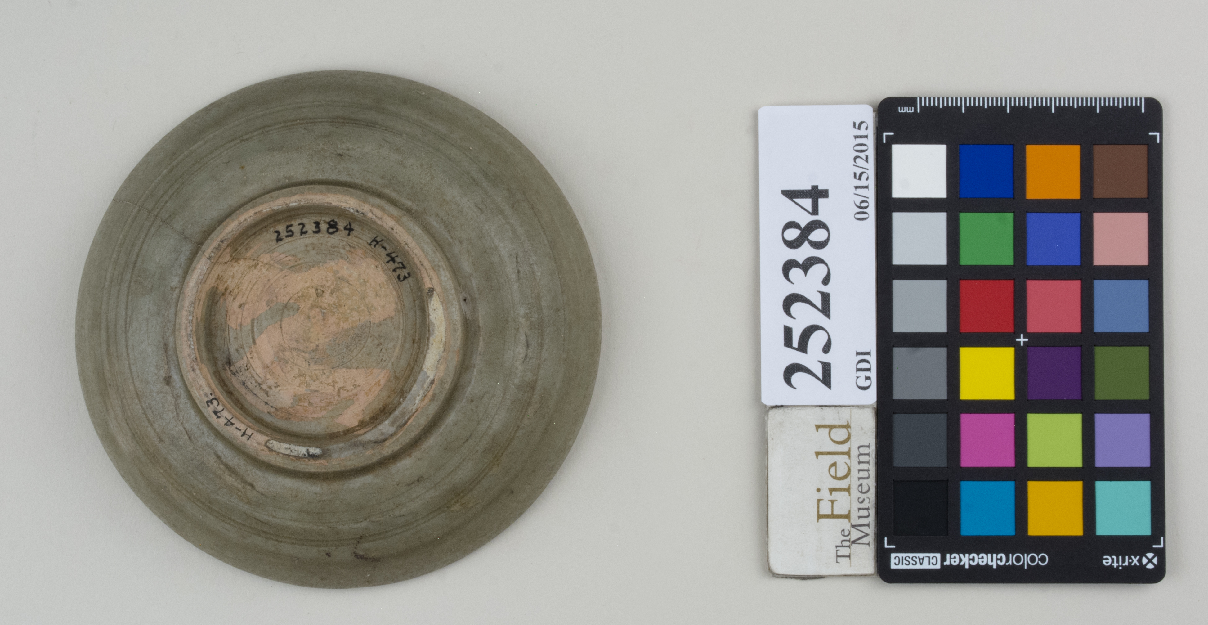 Bottom (c) Field Museum of Natural History - CC BY-NC 4.0