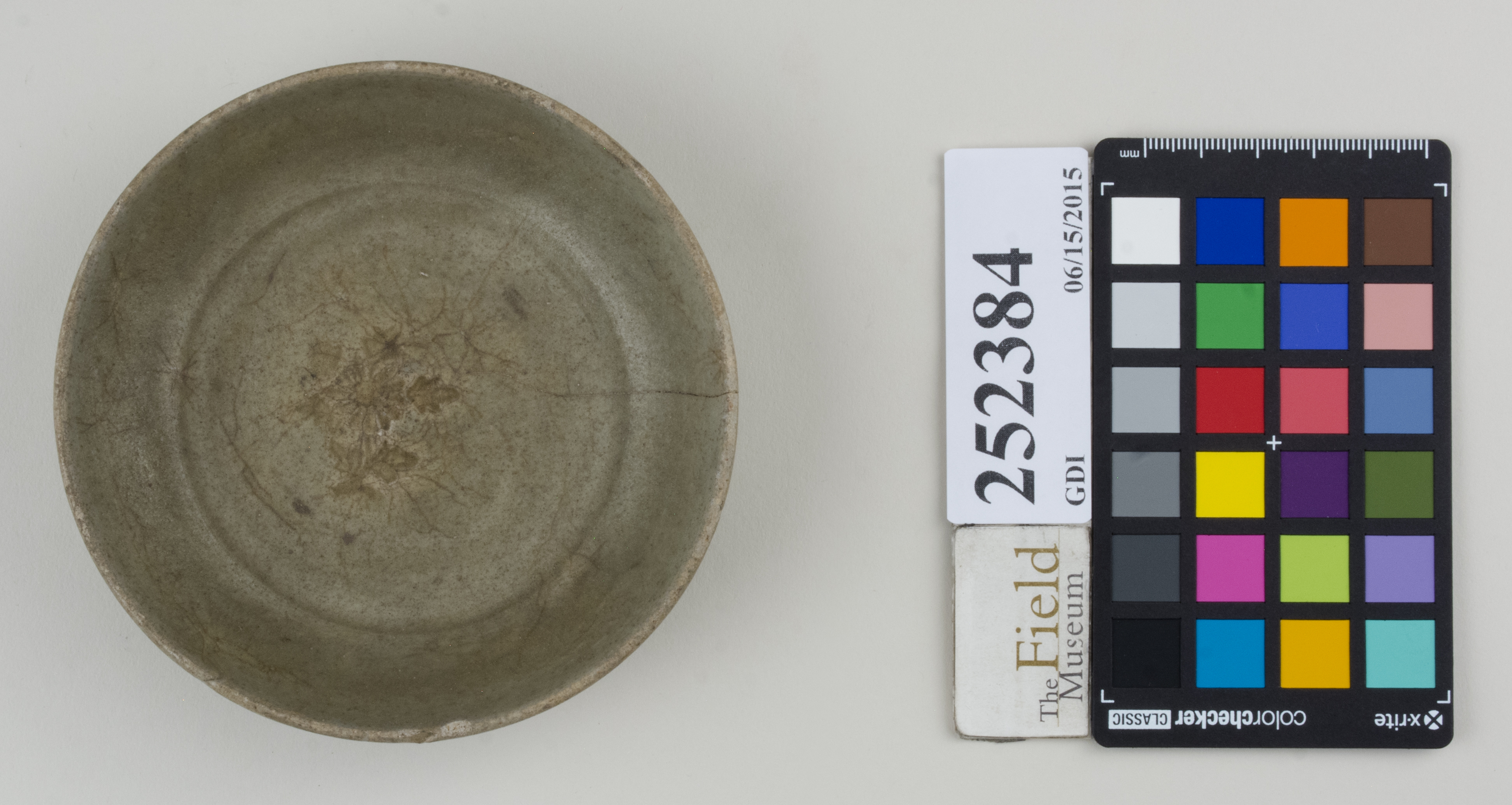 Top (c) Field Museum of Natural History - CC BY-NC 4.0