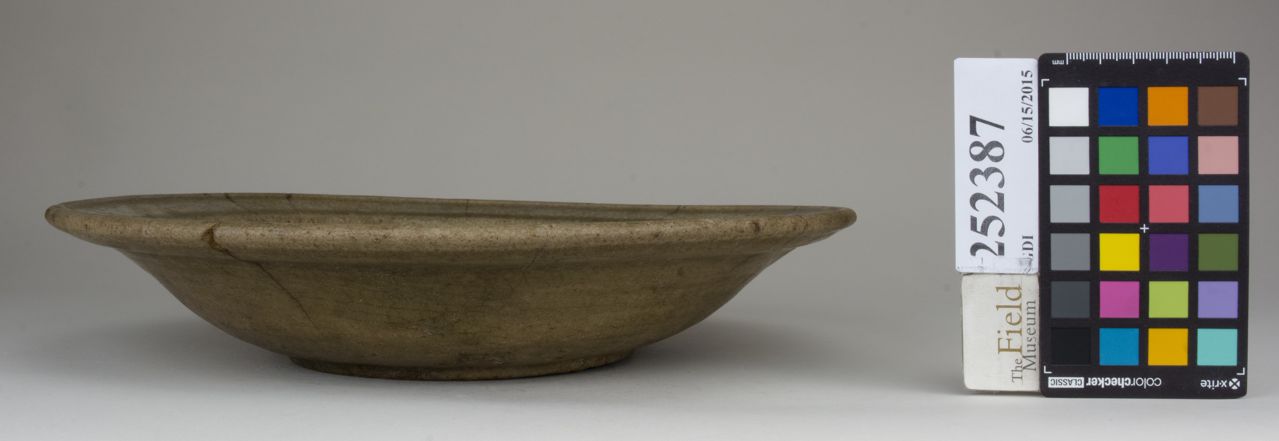 reference image, back (c) Field Museum of Natural History - CC BY-NC 4.0