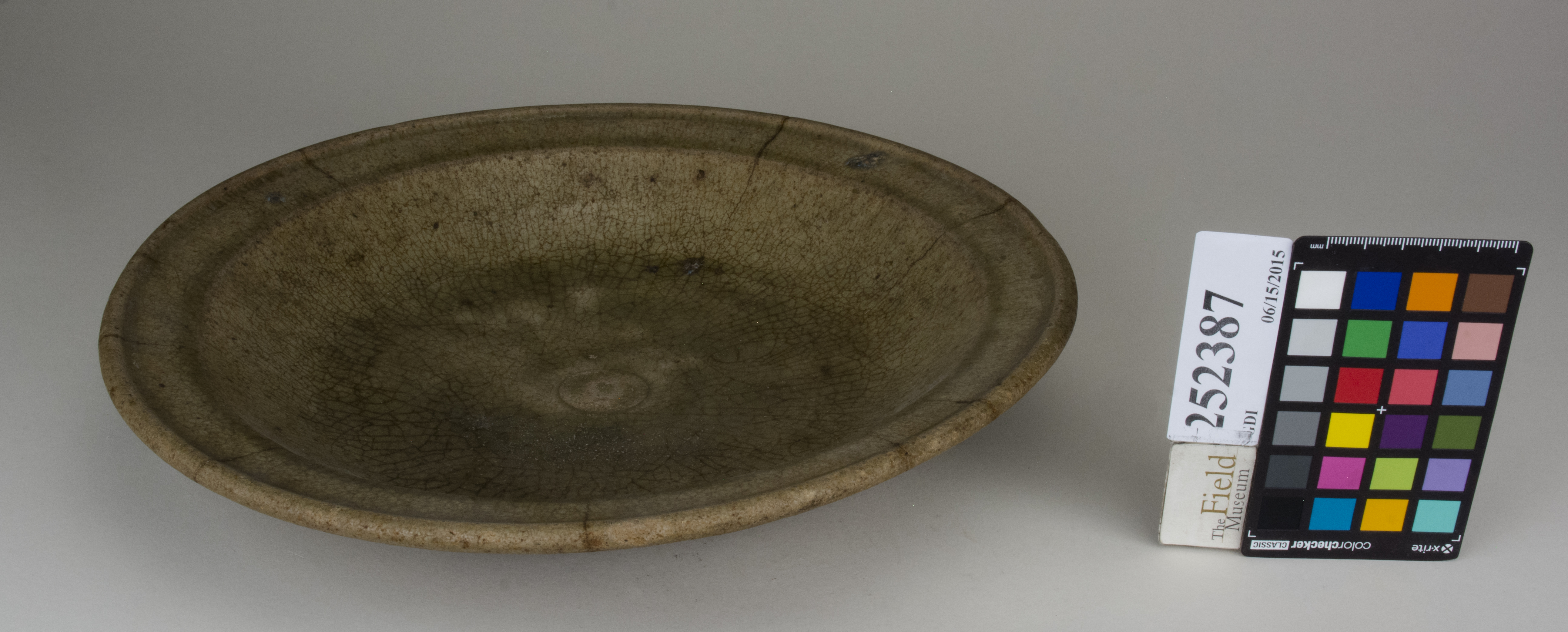 FrontAngle (c) Field Museum of Natural History - CC BY-NC 4.0