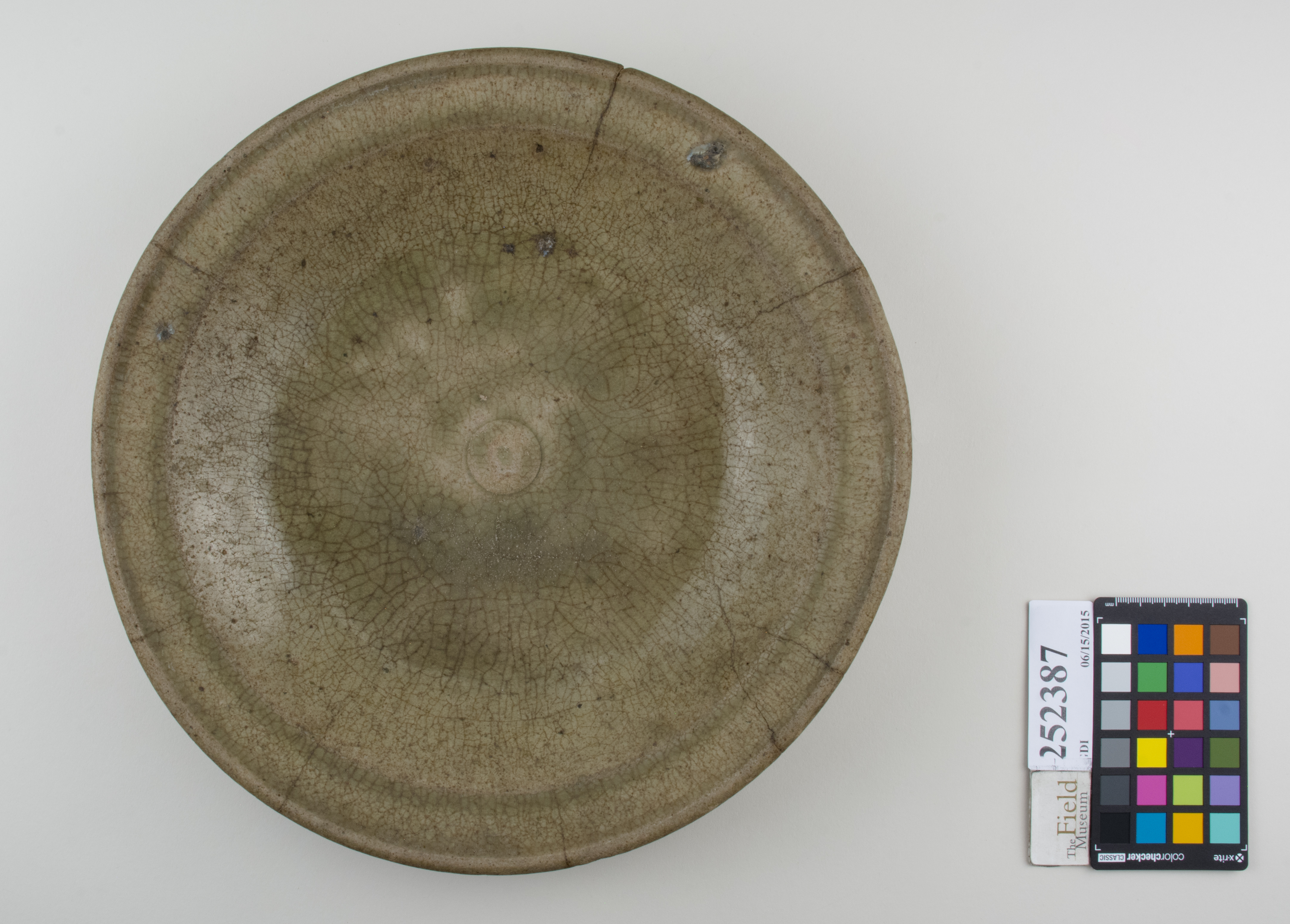 Top (c) Field Museum of Natural History - CC BY-NC 4.0