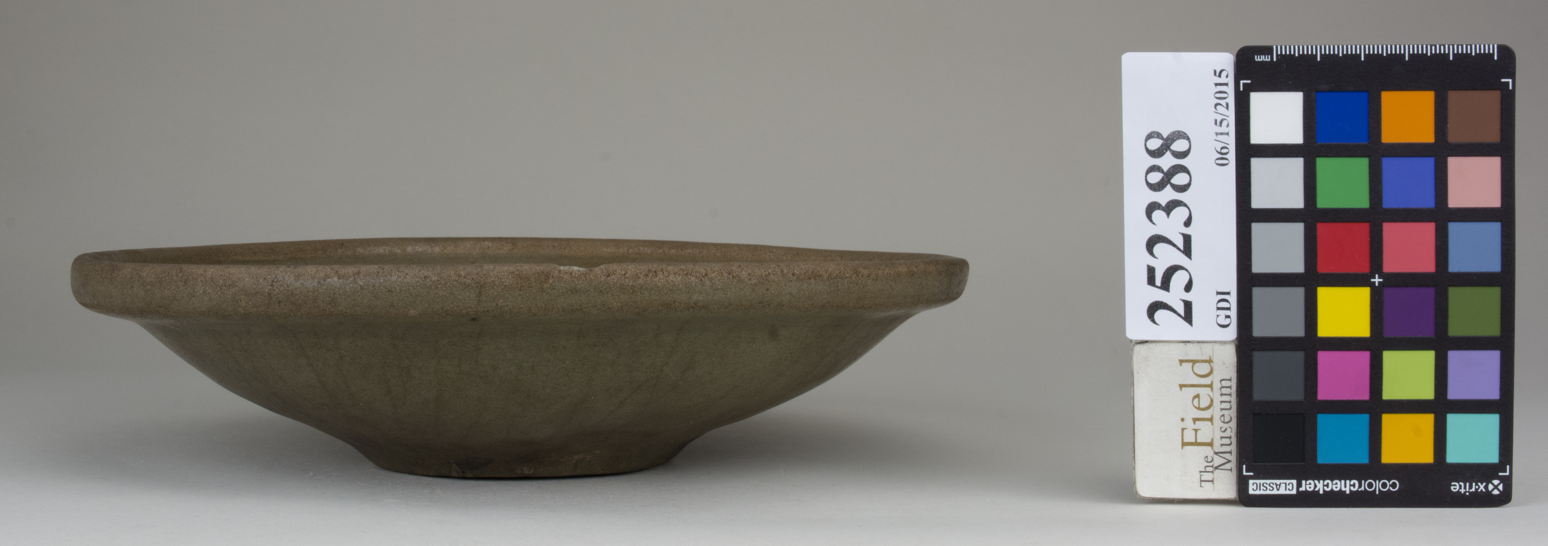 reference image, back (c) Field Museum of Natural History - CC BY-NC 4.0