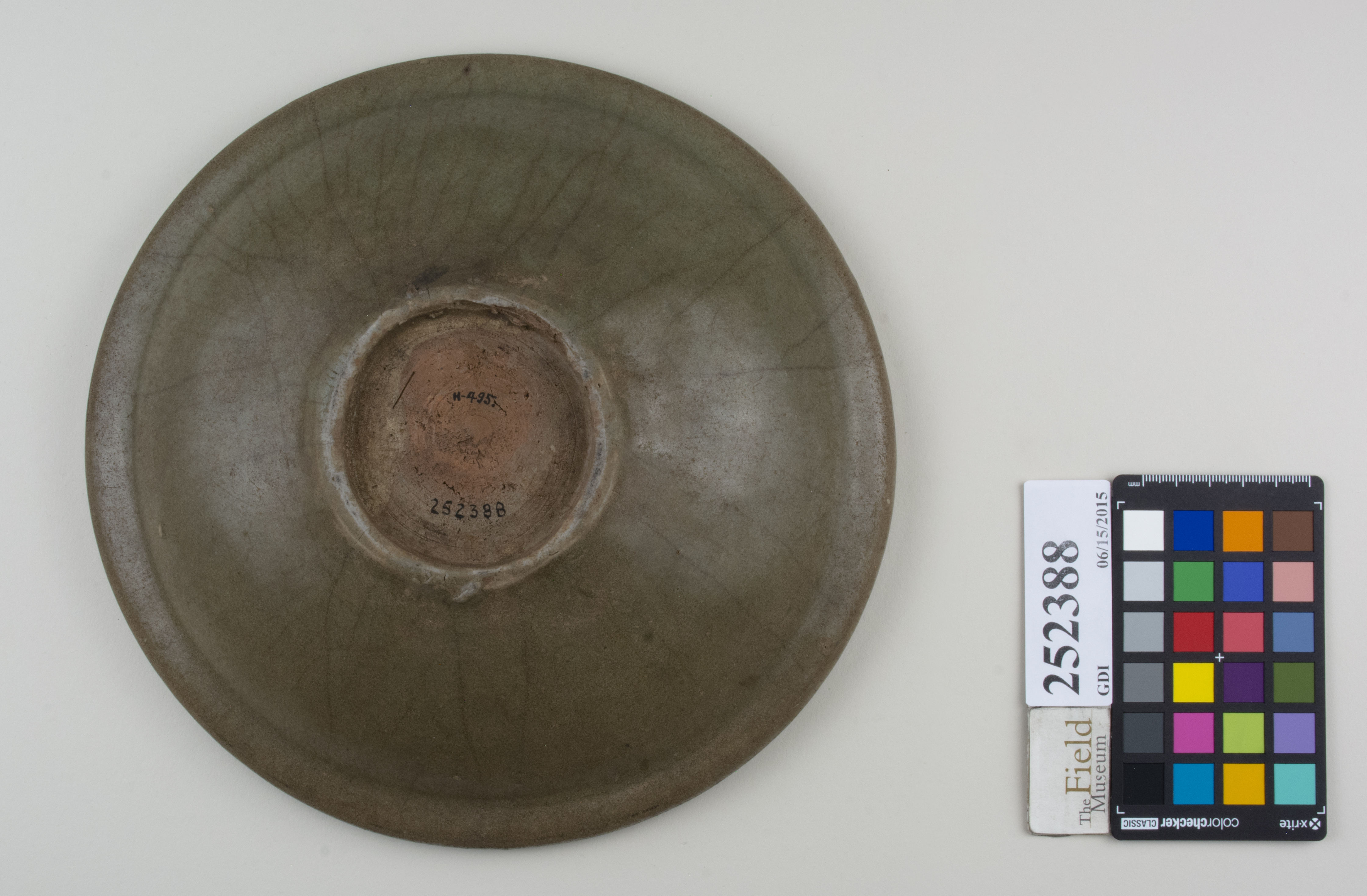 Bottom (c) Field Museum of Natural History - CC BY-NC 4.0