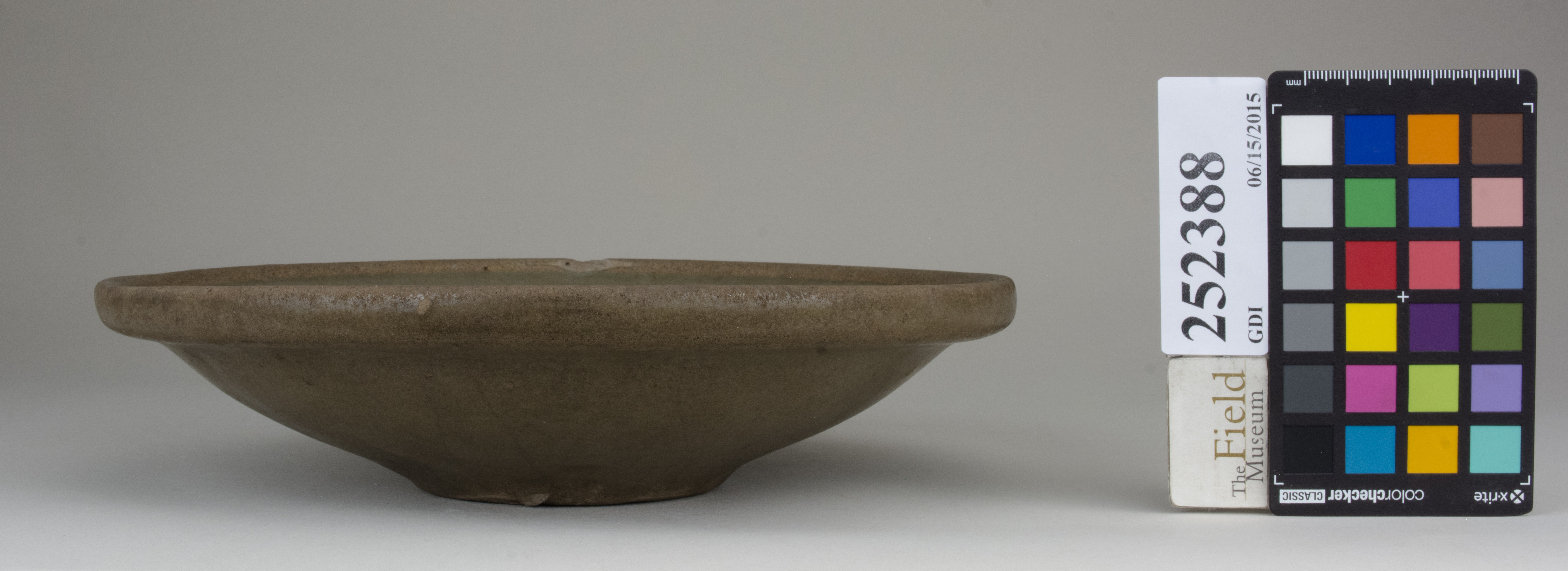 Front (c) Field Museum of Natural History - CC BY-NC 4.0