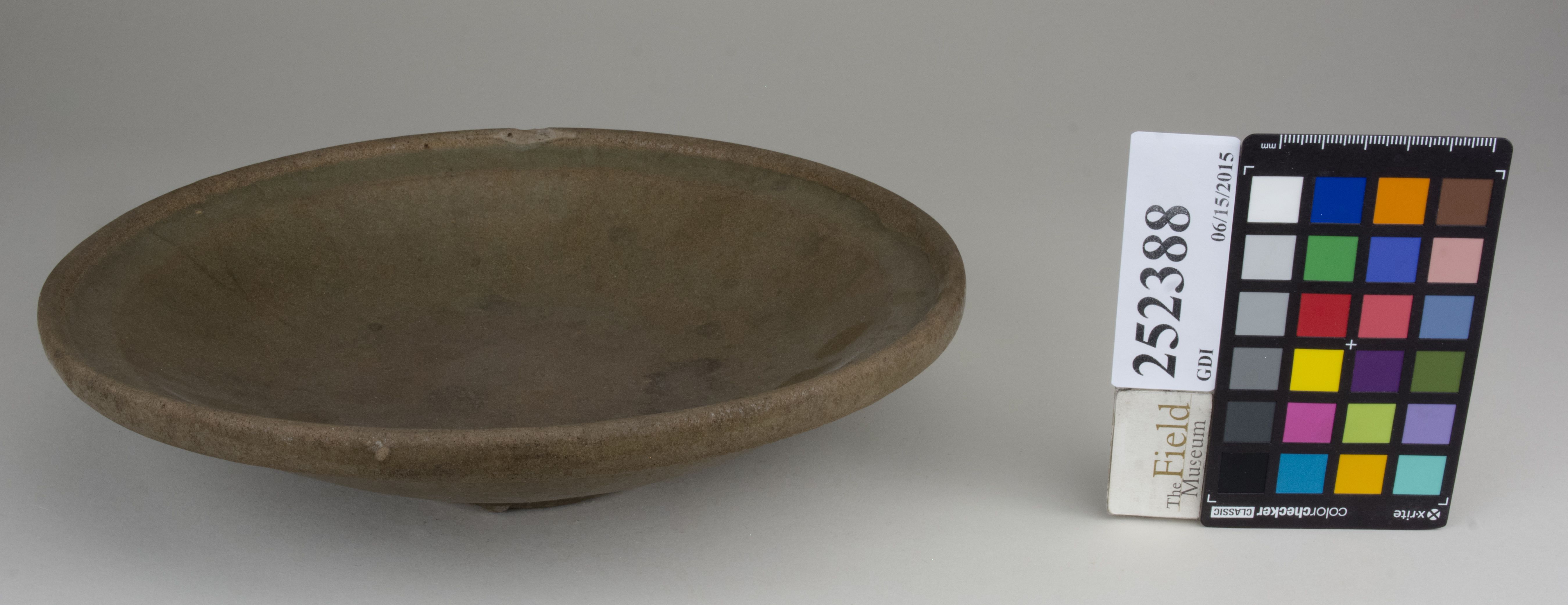 FrontAngle (c) Field Museum of Natural History - CC BY-NC 4.0