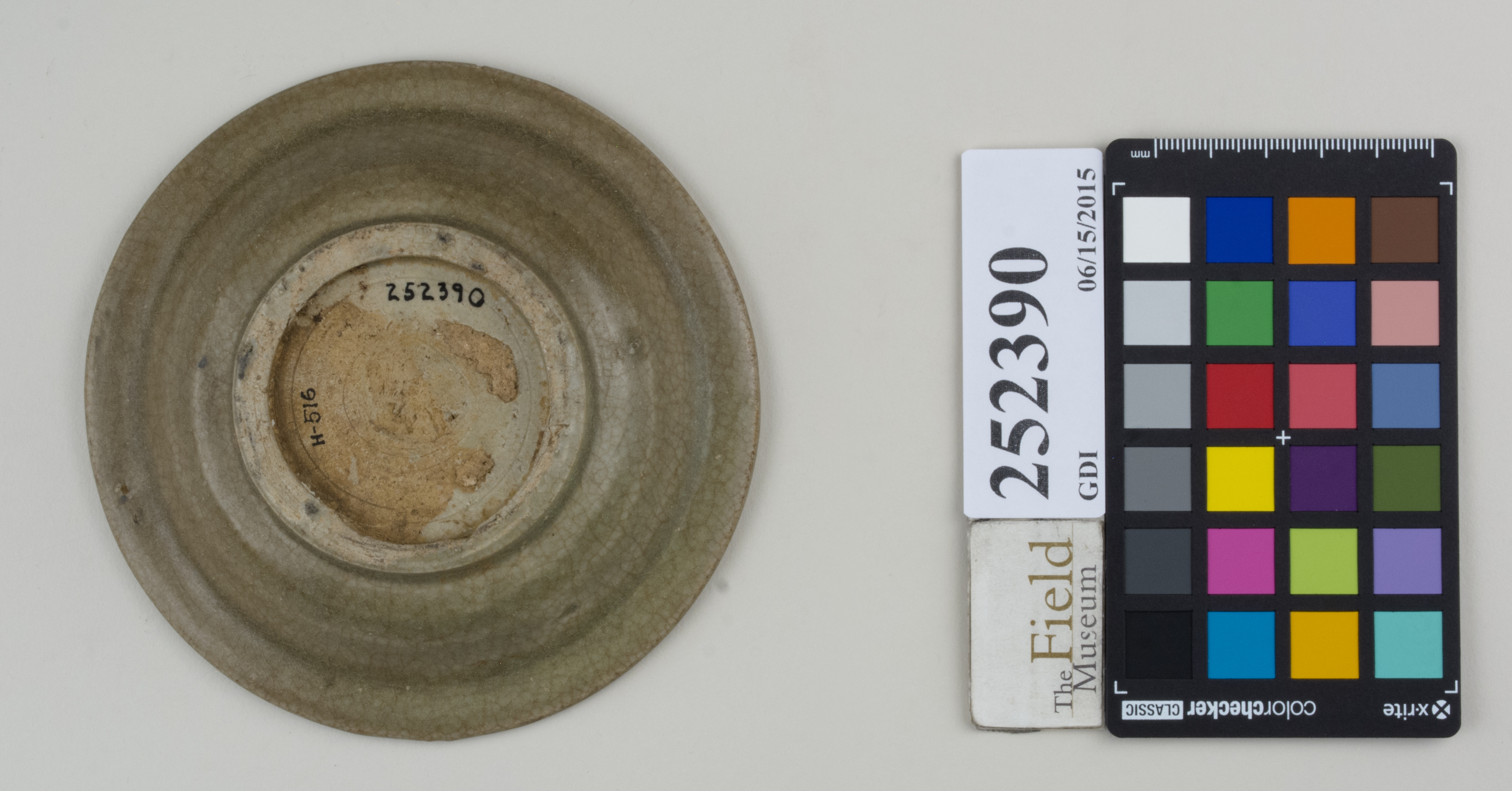 Bottom (c) Field Museum of Natural History - CC BY-NC 4.0