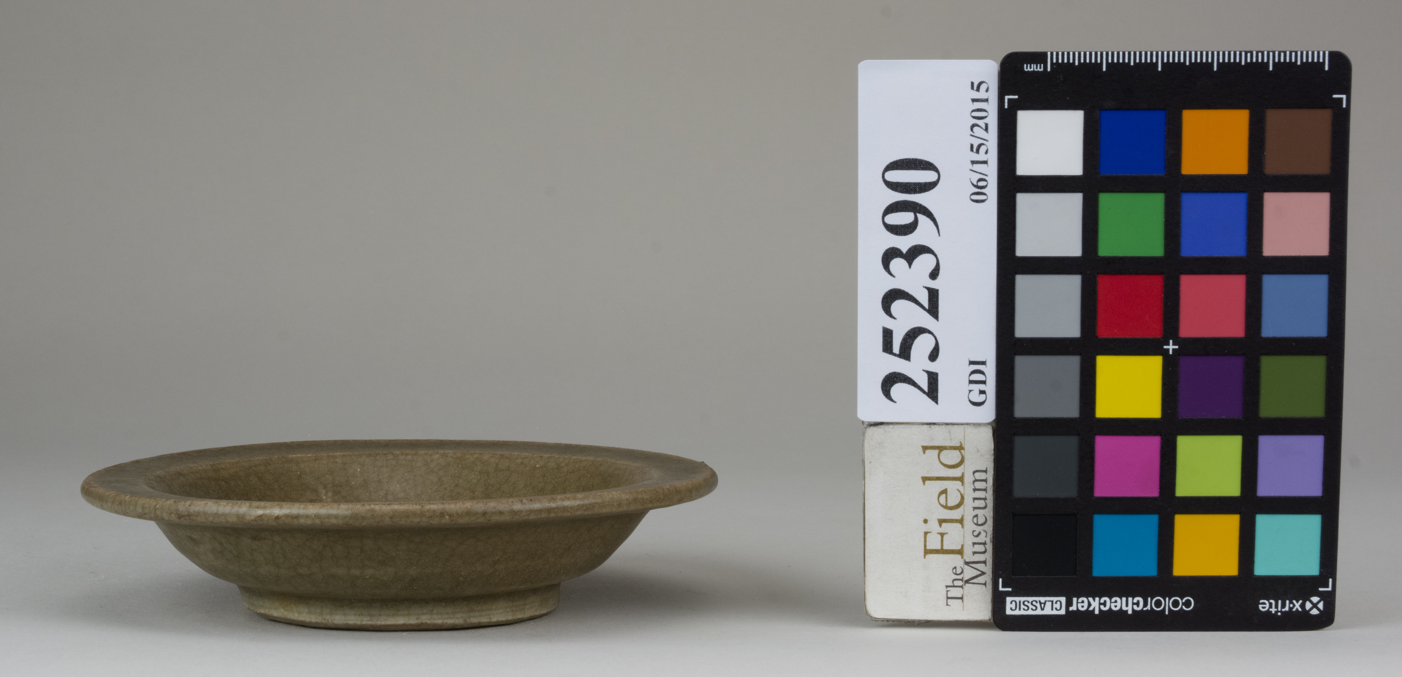 Front (c) Field Museum of Natural History - CC BY-NC 4.0