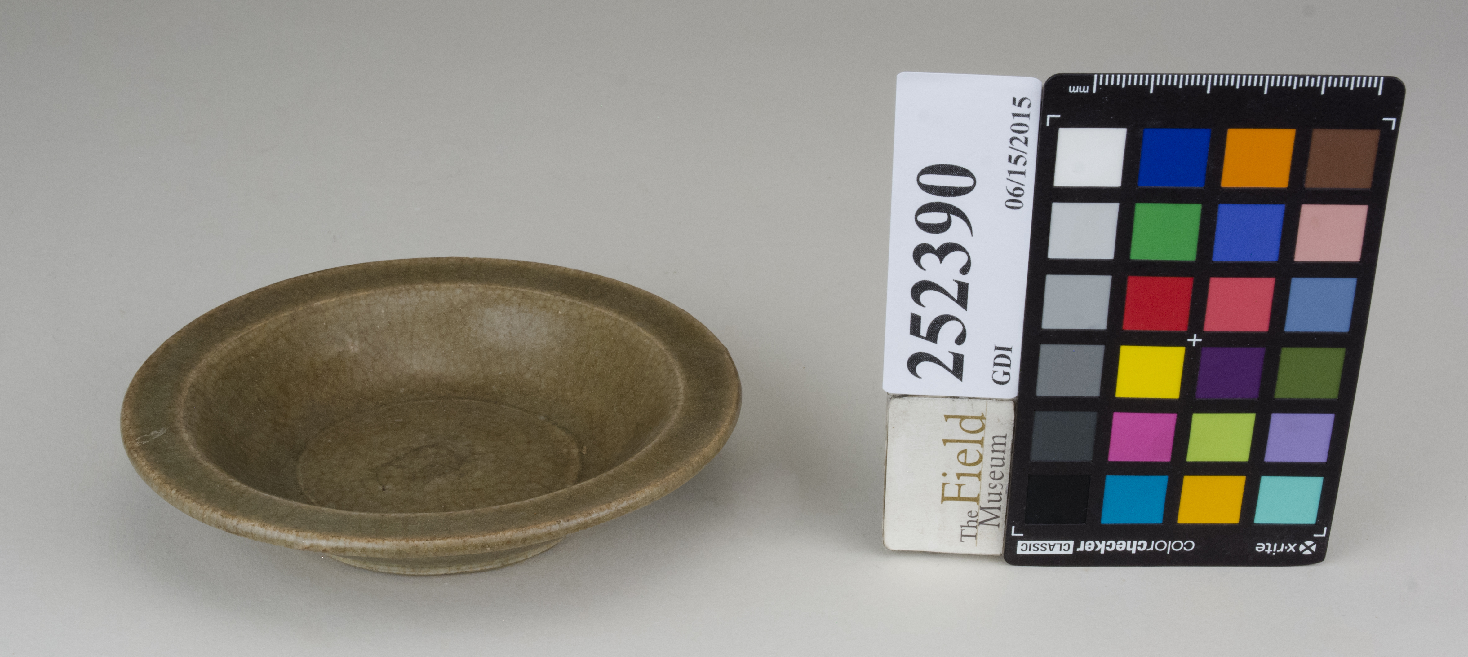 FrontAngle (c) Field Museum of Natural History - CC BY-NC 4.0