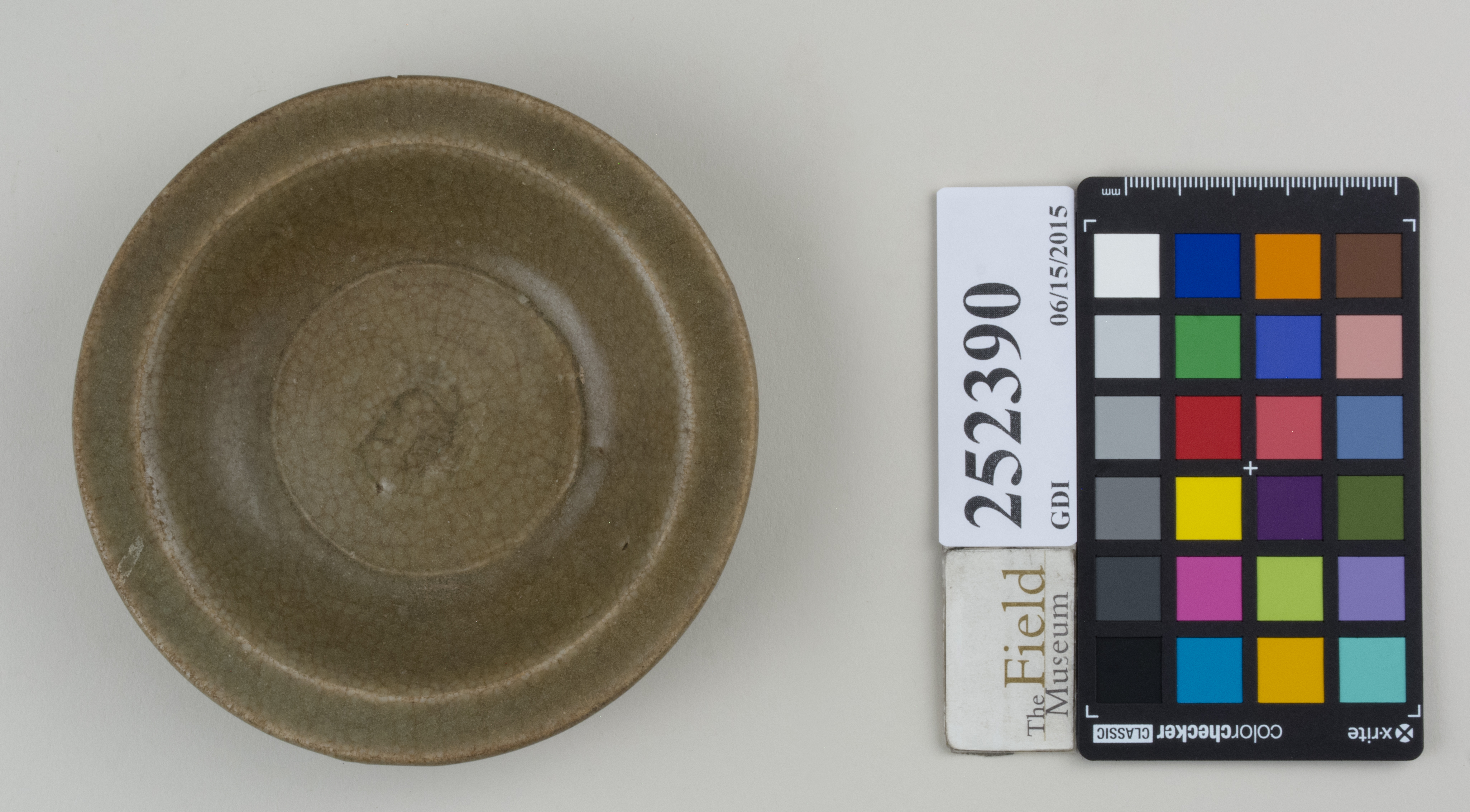 Top (c) Field Museum of Natural History - CC BY-NC 4.0