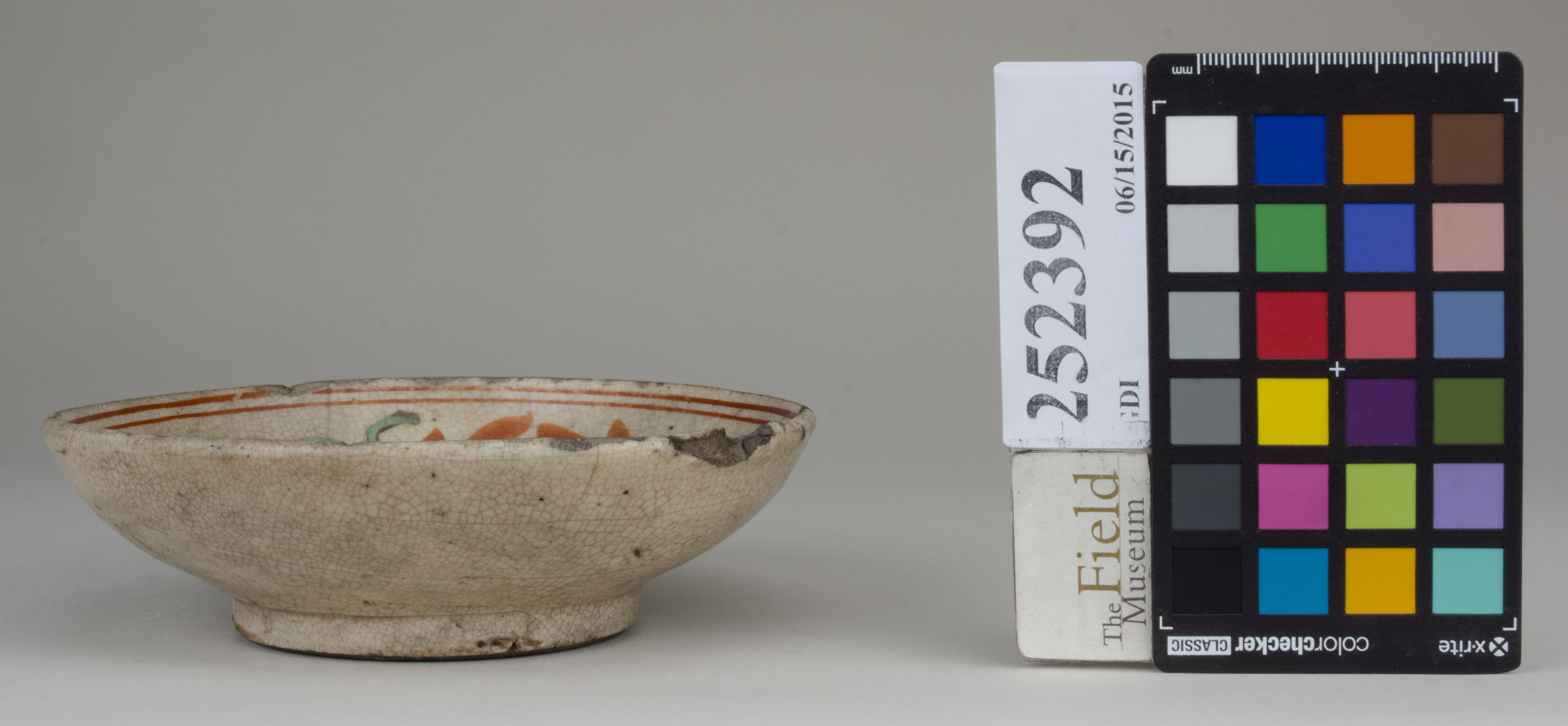 reference image, back (c) Field Museum of Natural History - CC BY-NC 4.0