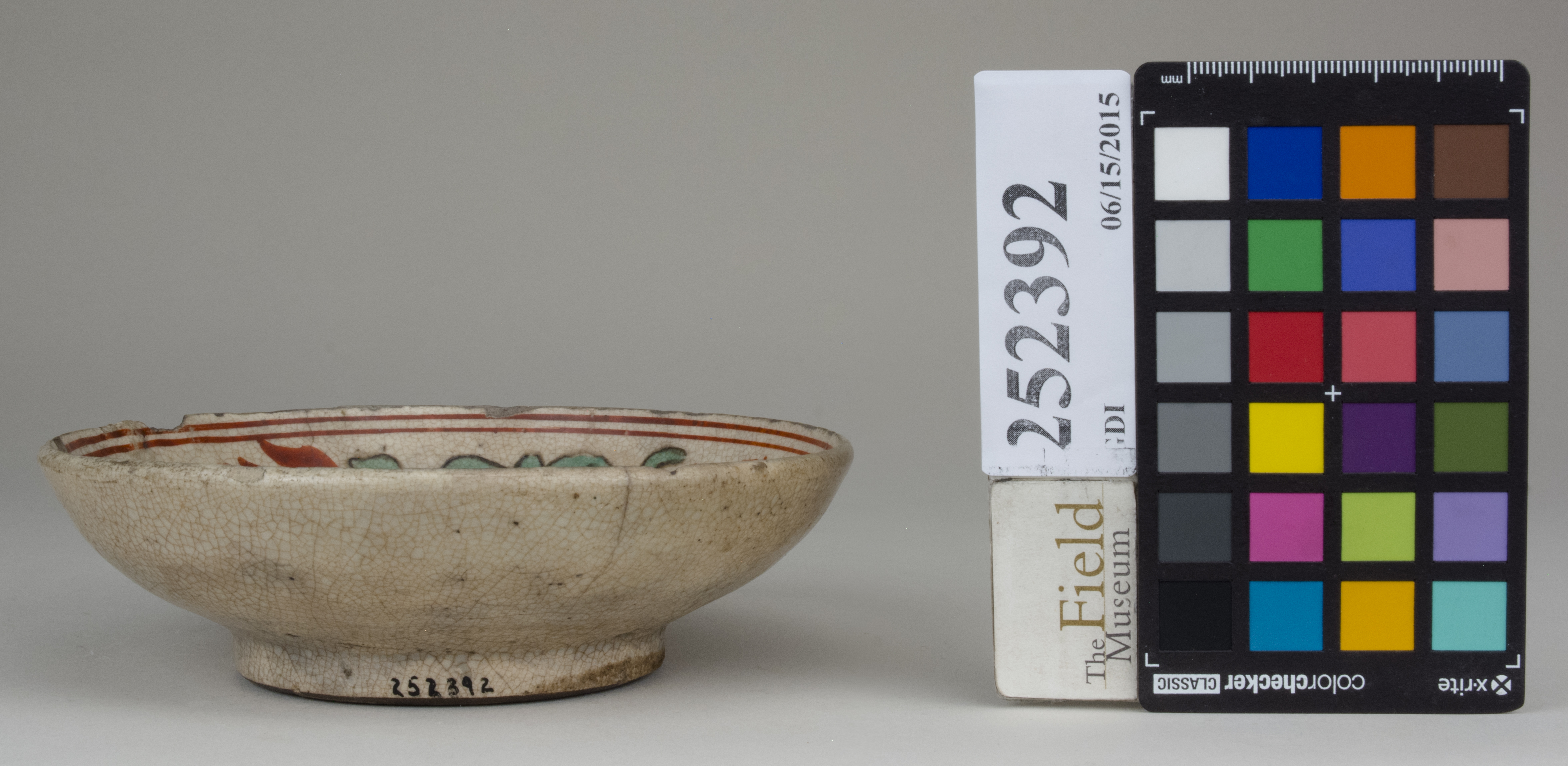 Front (c) Field Museum of Natural History - CC BY-NC 4.0