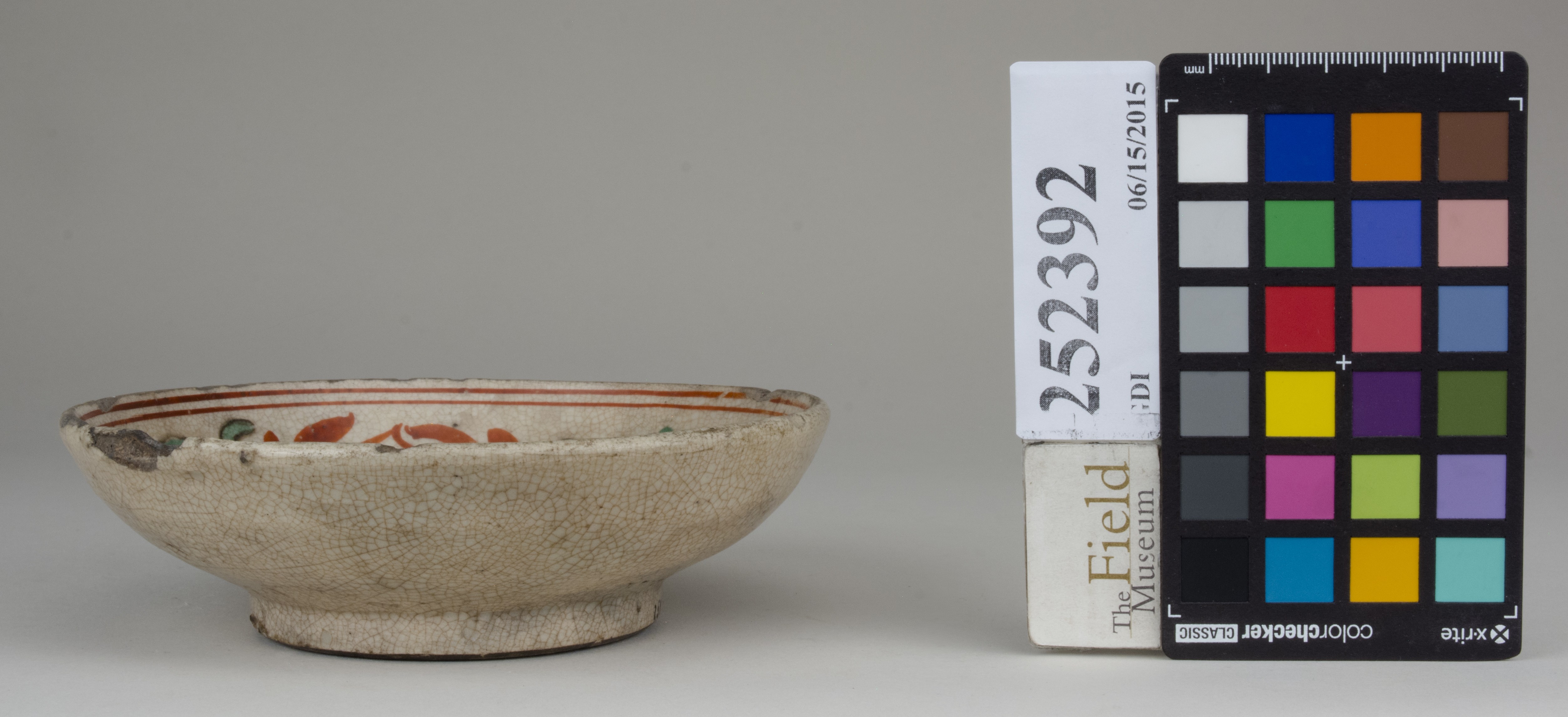 Right (c) Field Museum of Natural History - CC BY-NC 4.0