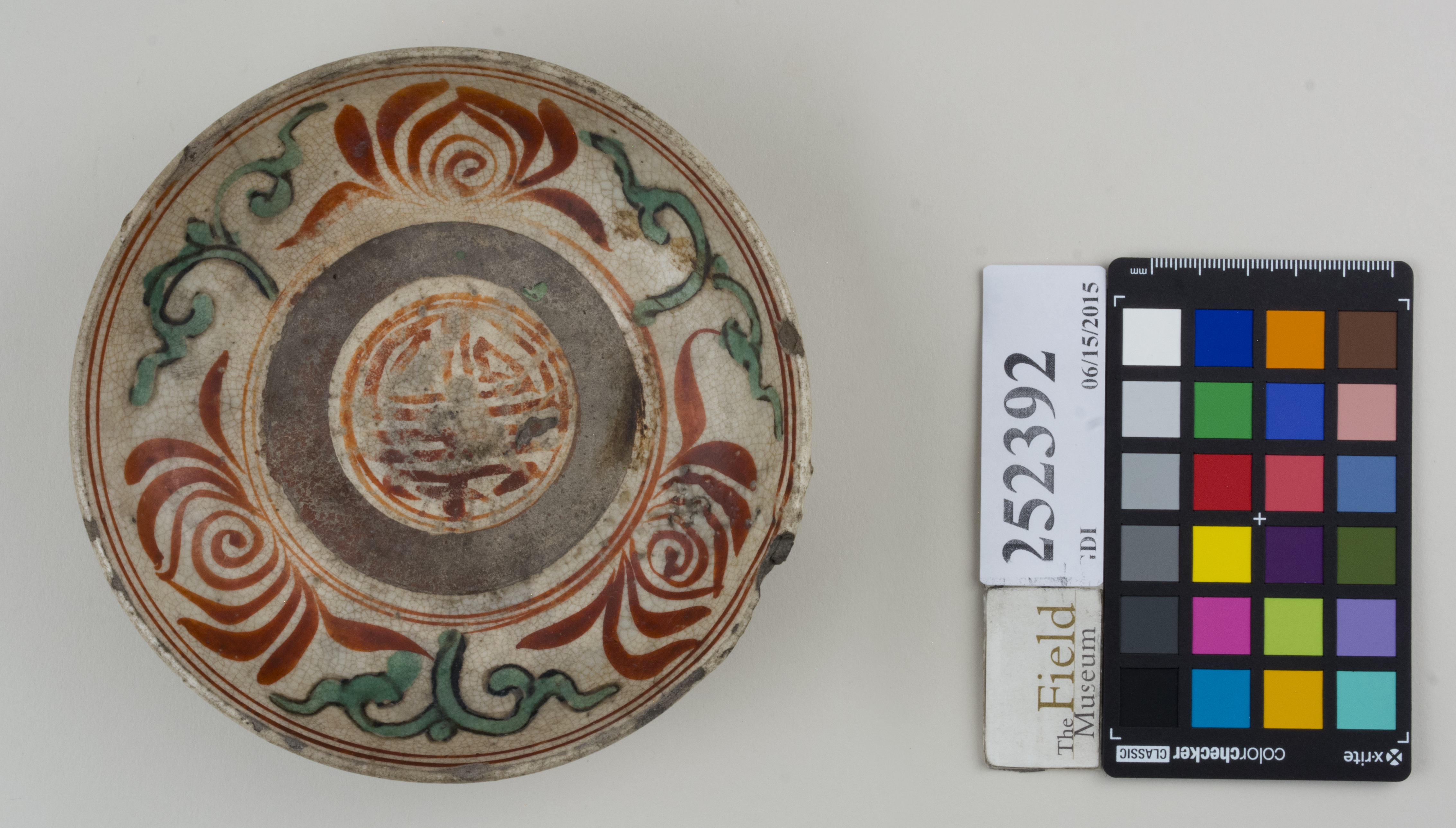 Top (c) Field Museum of Natural History - CC BY-NC 4.0