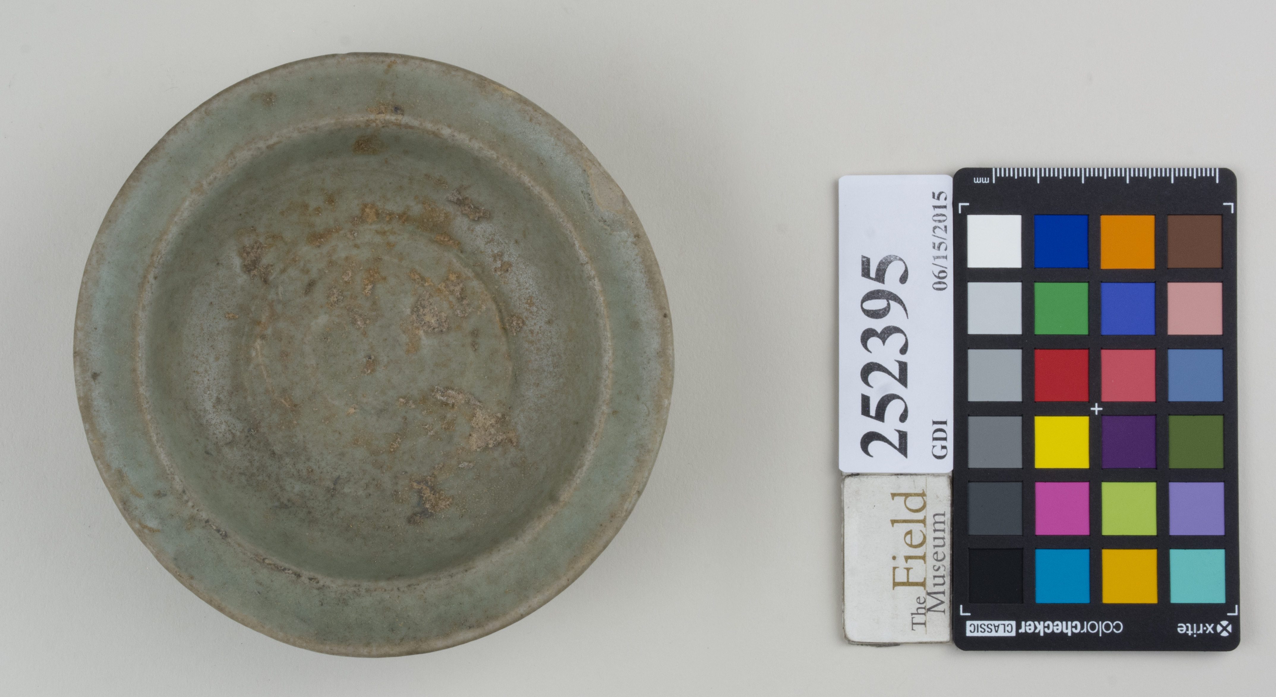 Top (c) Field Museum of Natural History - CC BY-NC 4.0