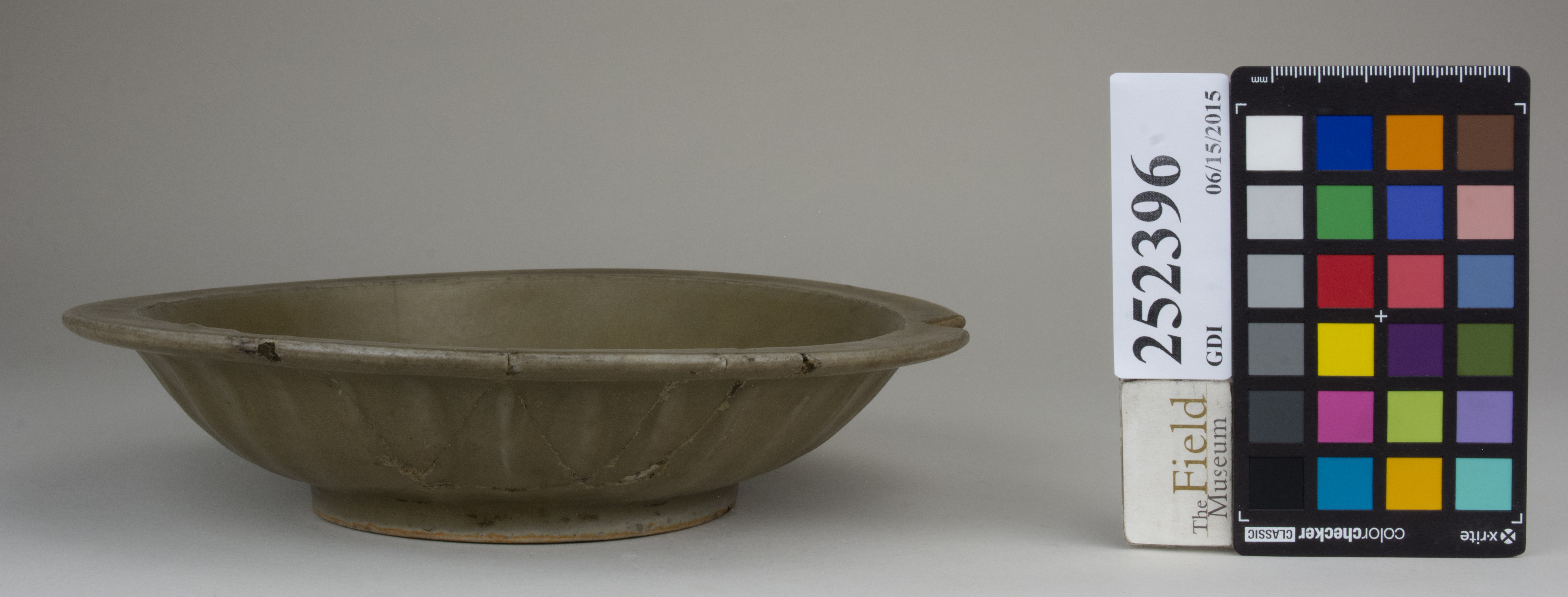 reference image, back (c) Field Museum of Natural History - CC BY-NC 4.0