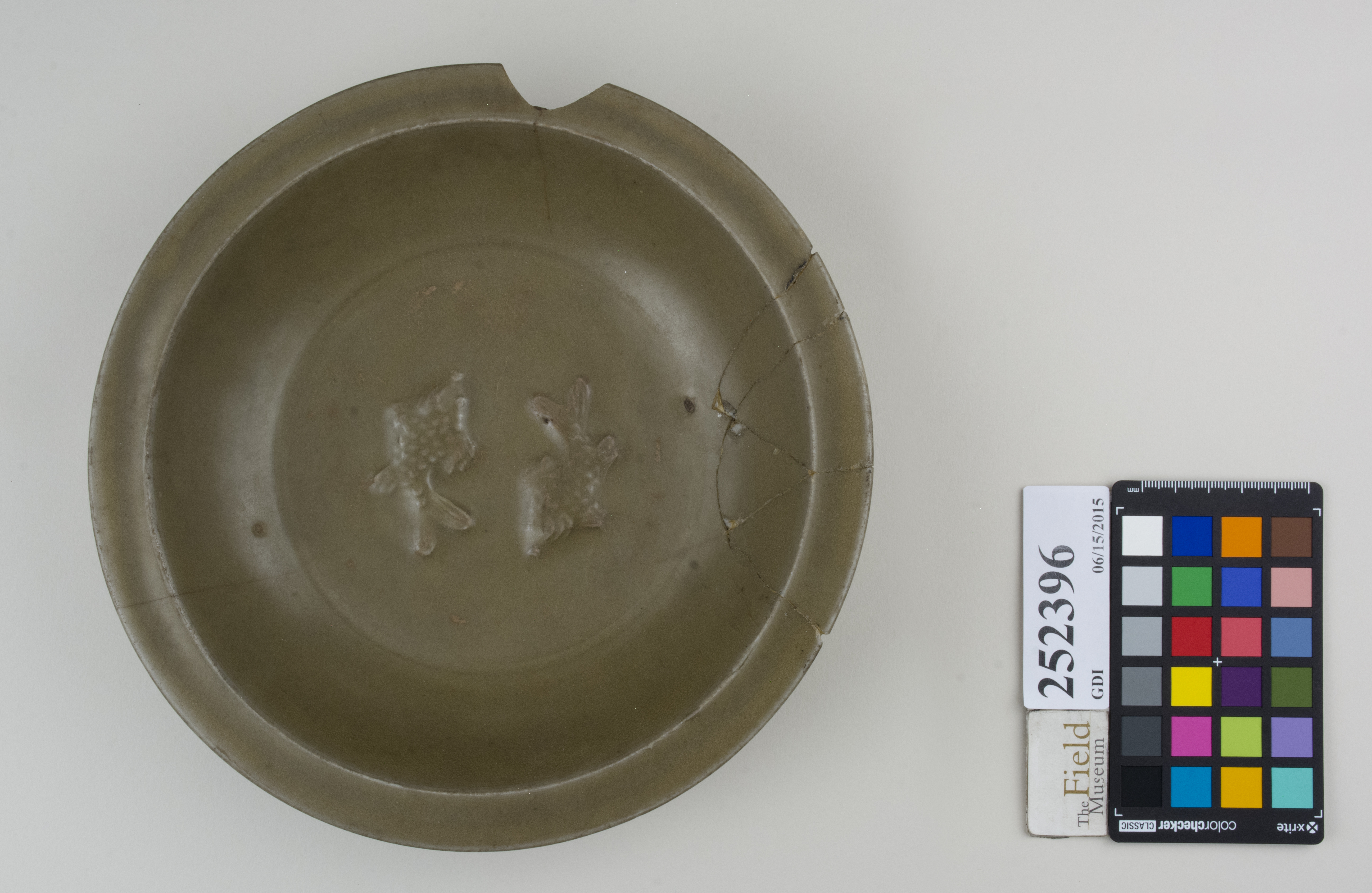 Top (c) Field Museum of Natural History - CC BY-NC 4.0